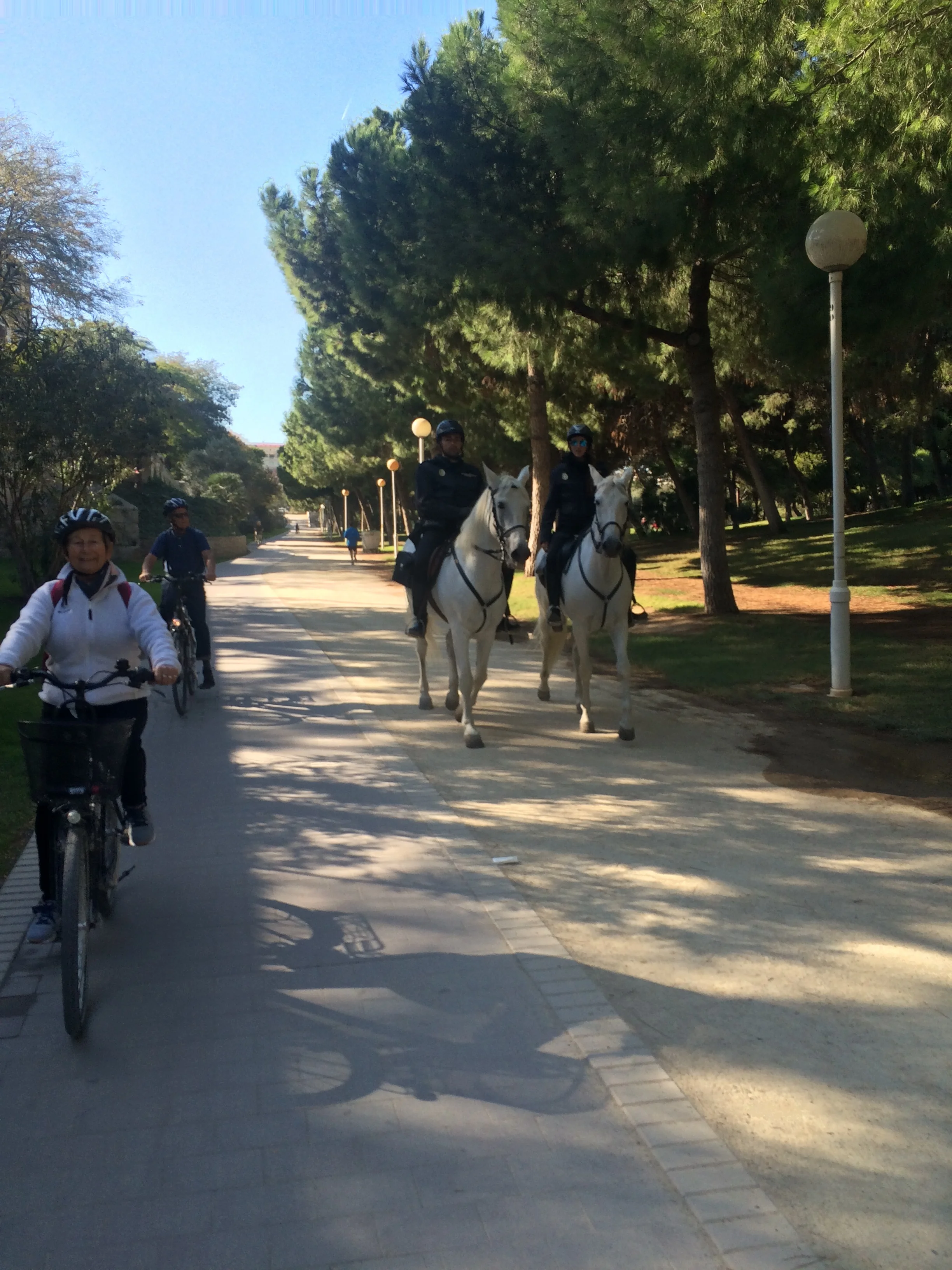nice ride through the city. Policeman with style on horseback