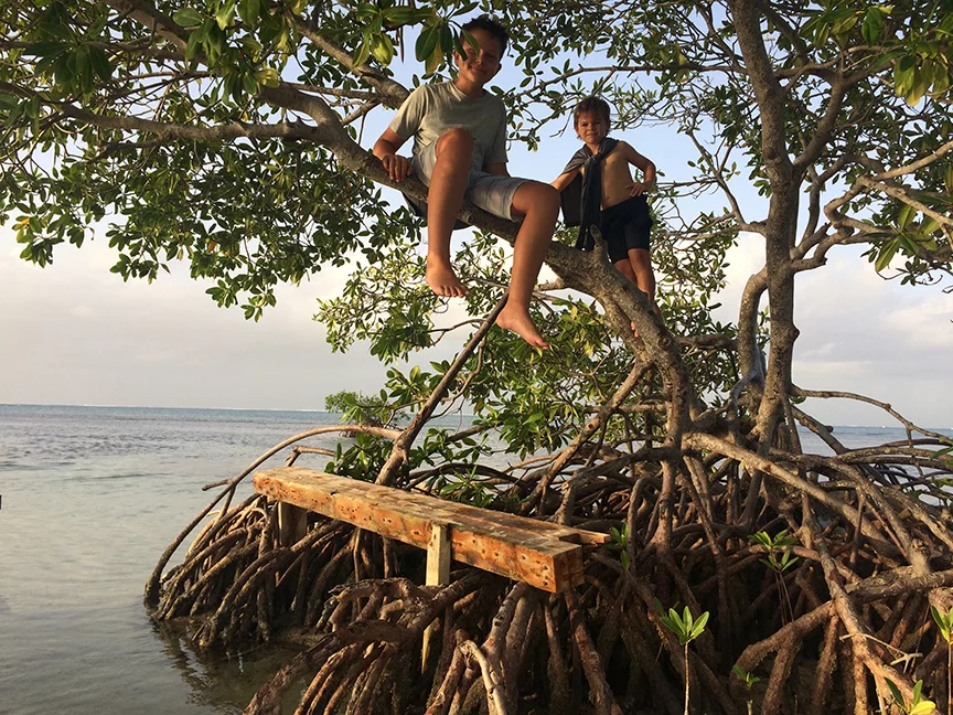 GUADELOUPE - stop at the 'office'