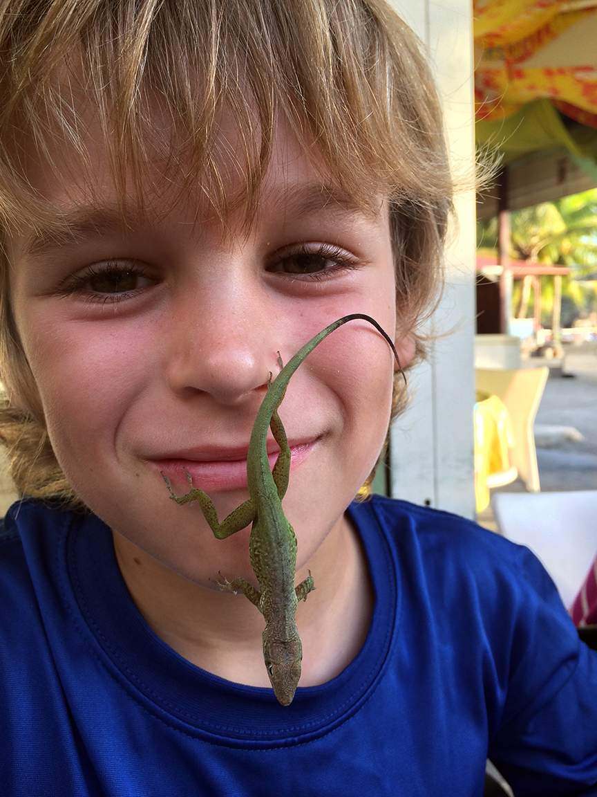 GUADELOUPE - treasures from the rainforest found by Mael