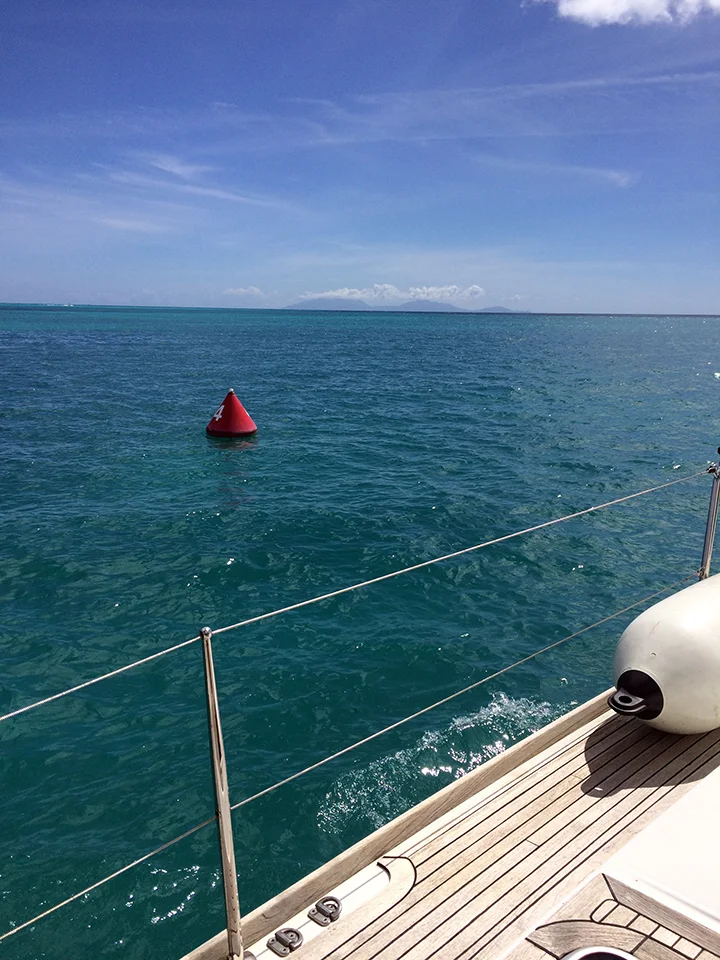 spotting turtles