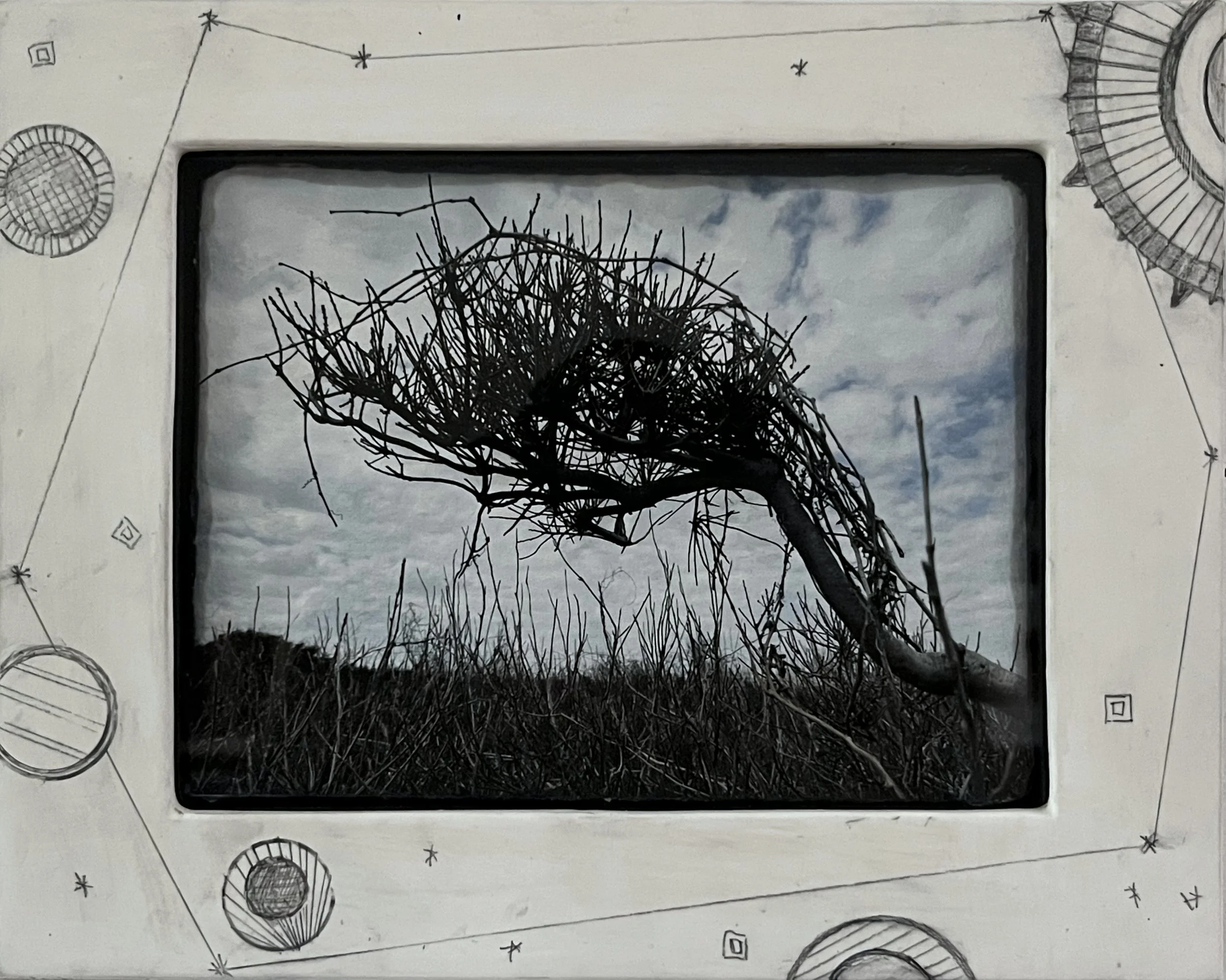 Twig Drawing