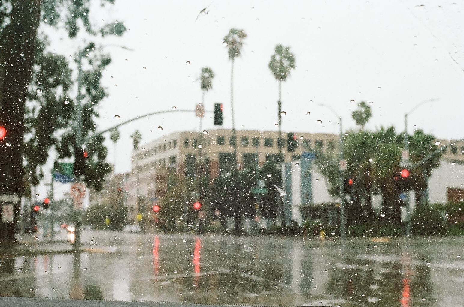 ultra max 400 / canon ae-1 / December 2016