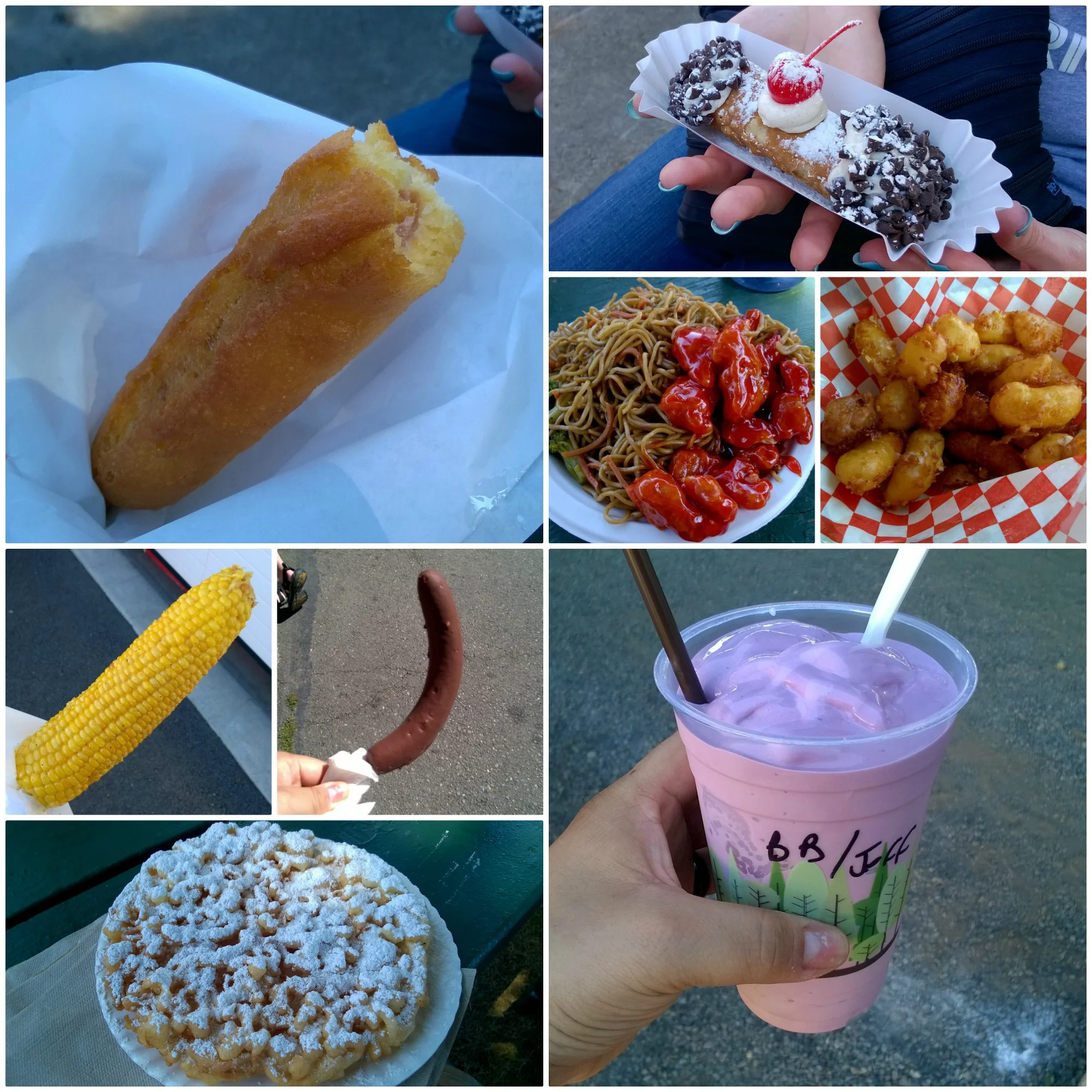 Evergreen State Fair 2017