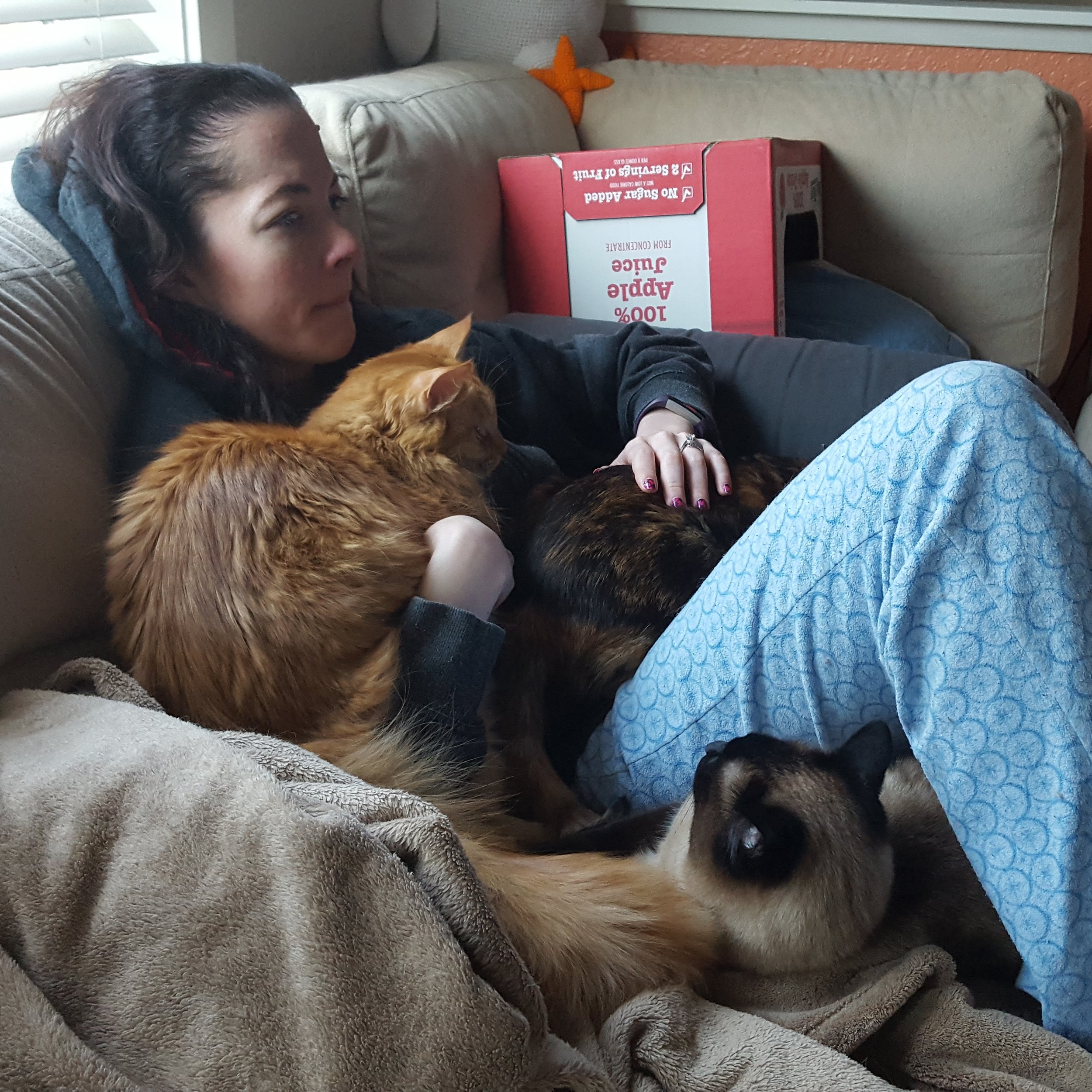 I'm just a cat couch...