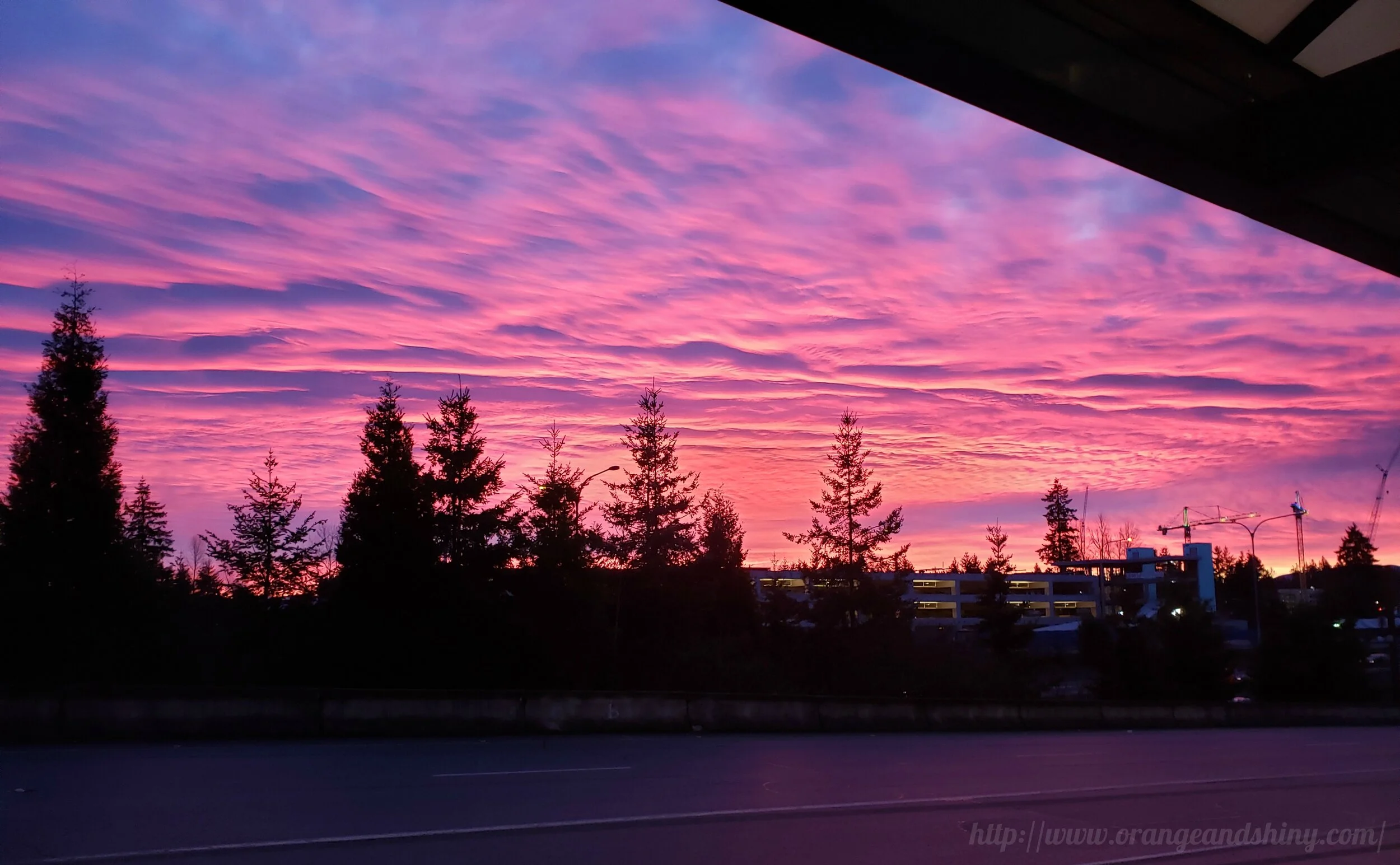 Photos from the Bus Stop