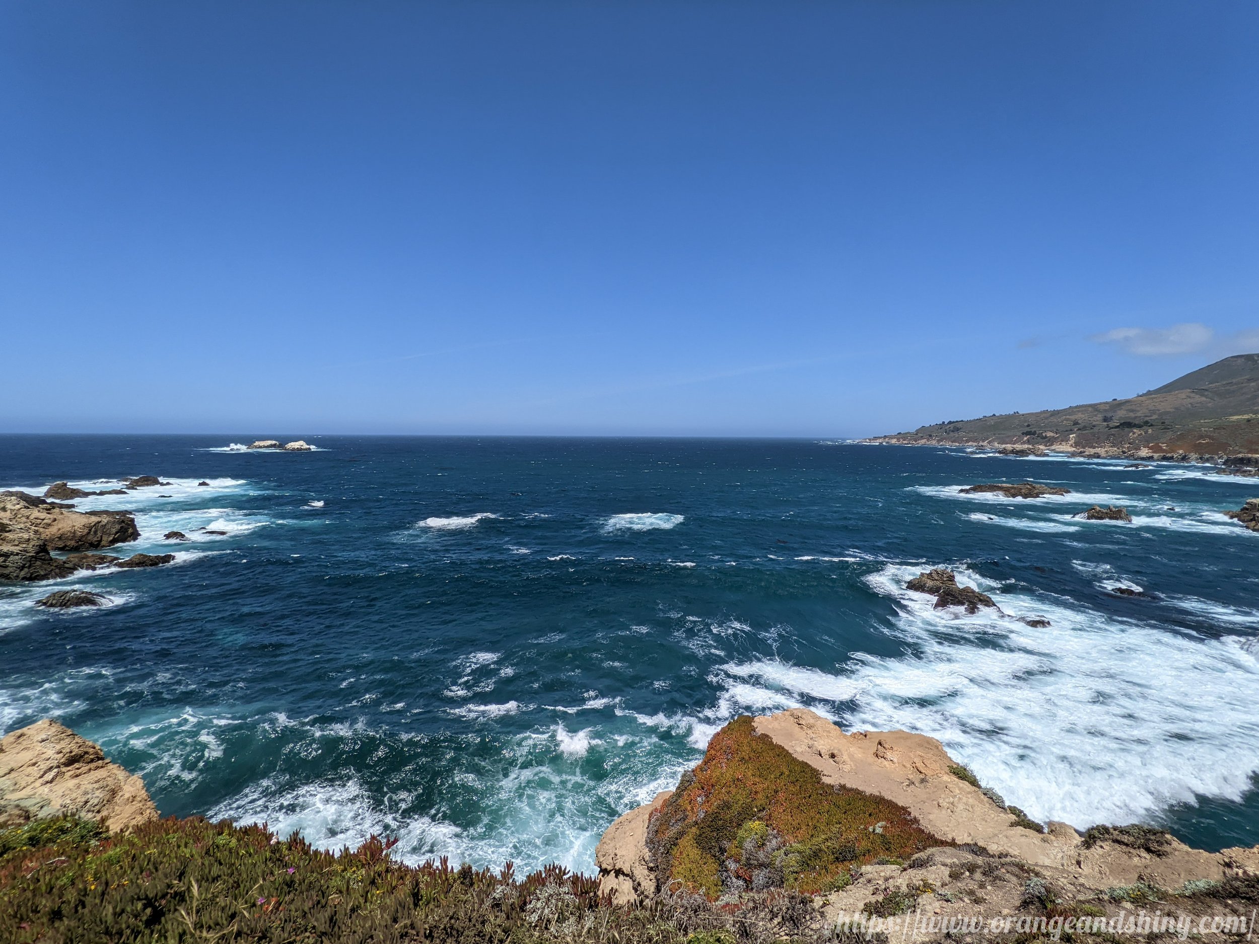 20220611 - Point Lobos 2.jpg