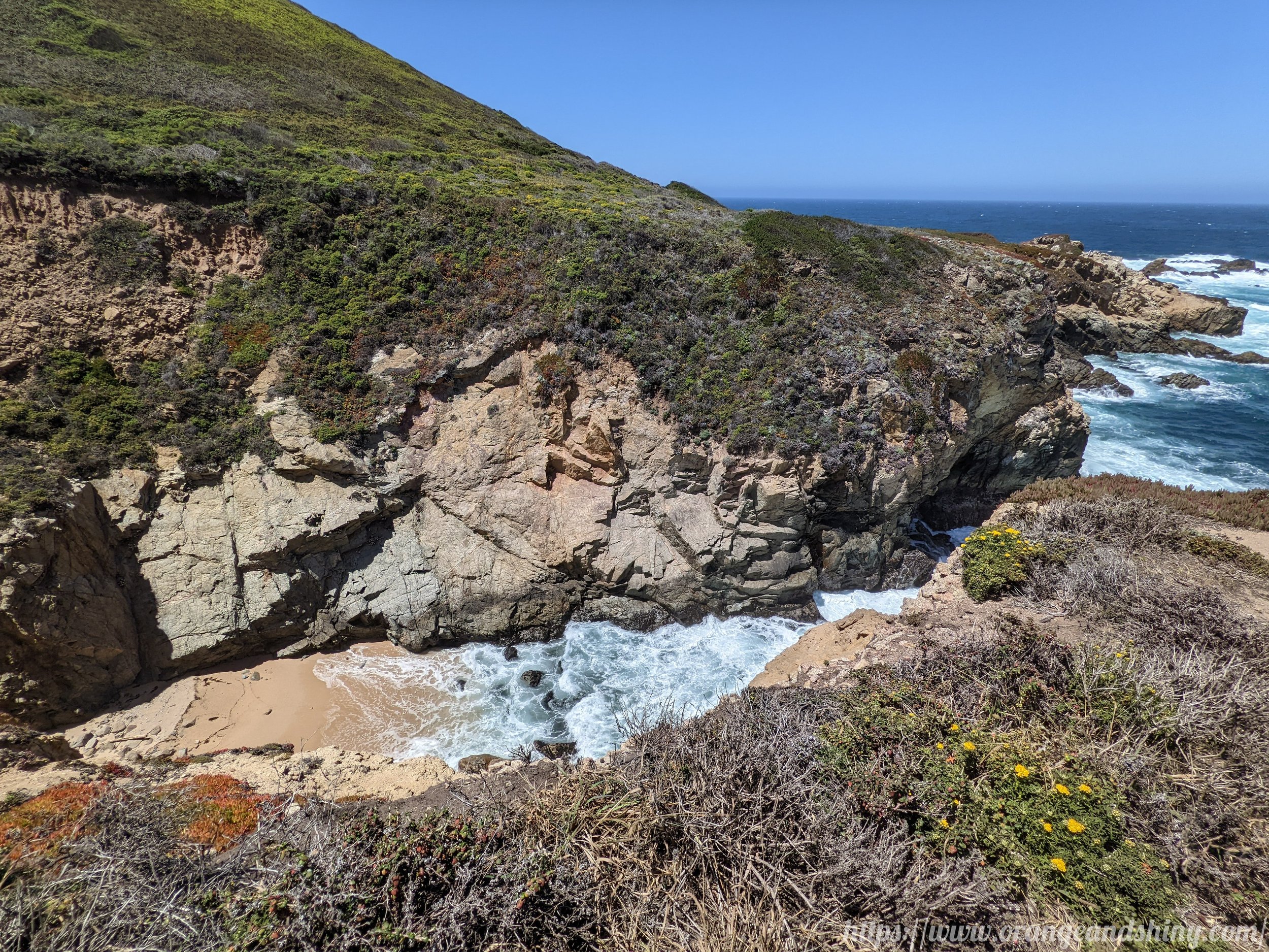 20220611 - Point Lobos 1.jpg