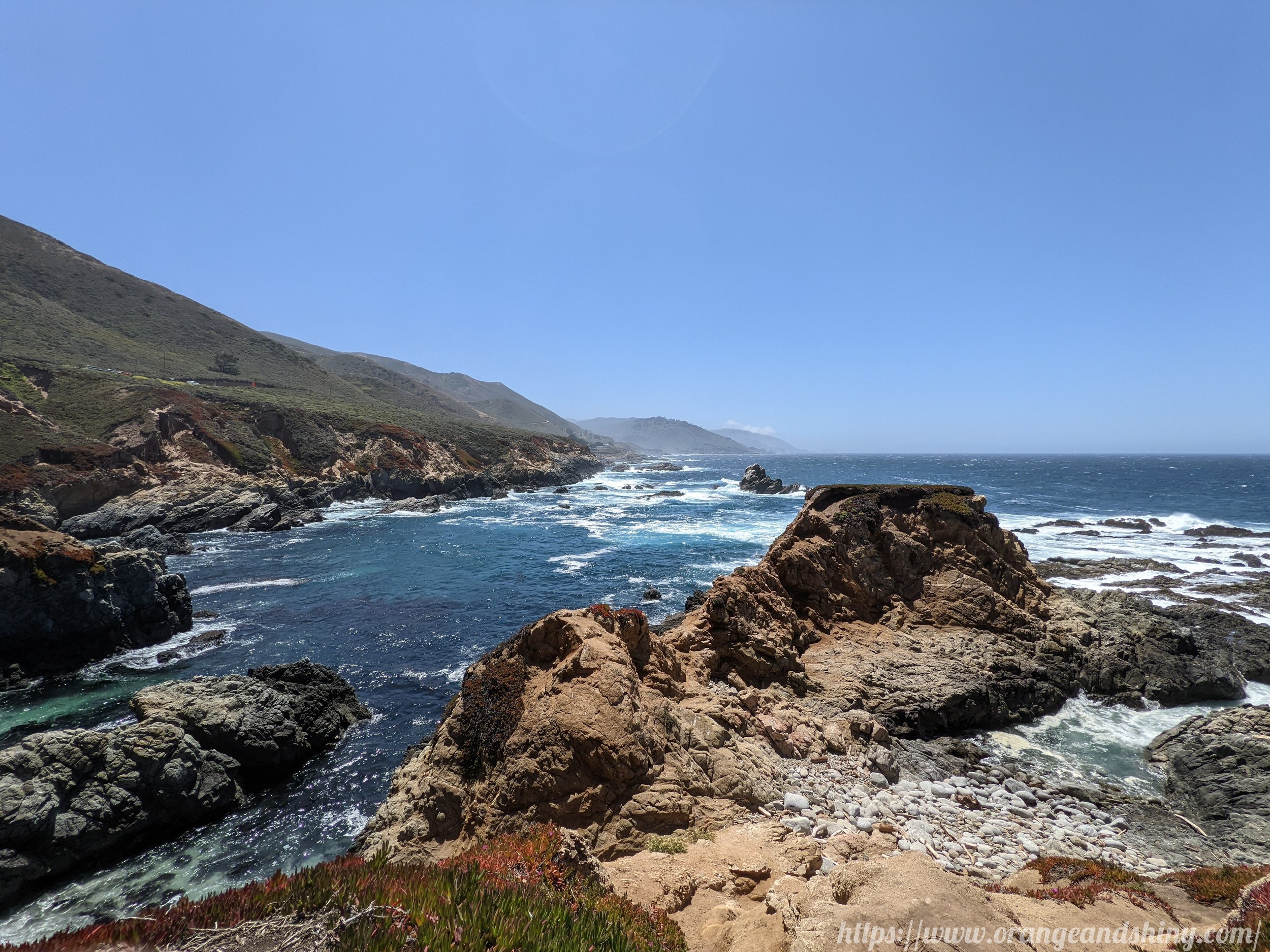 20220611 - Point Lobos 4.jpg
