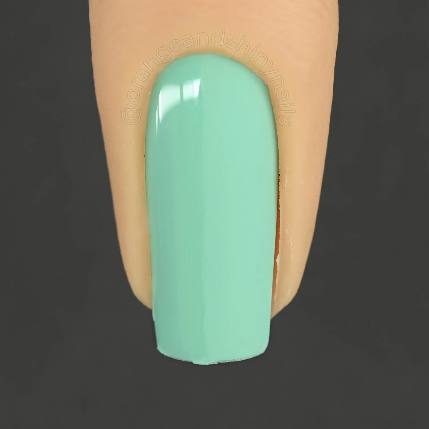 Holo Taco Sea Foam Home Combos