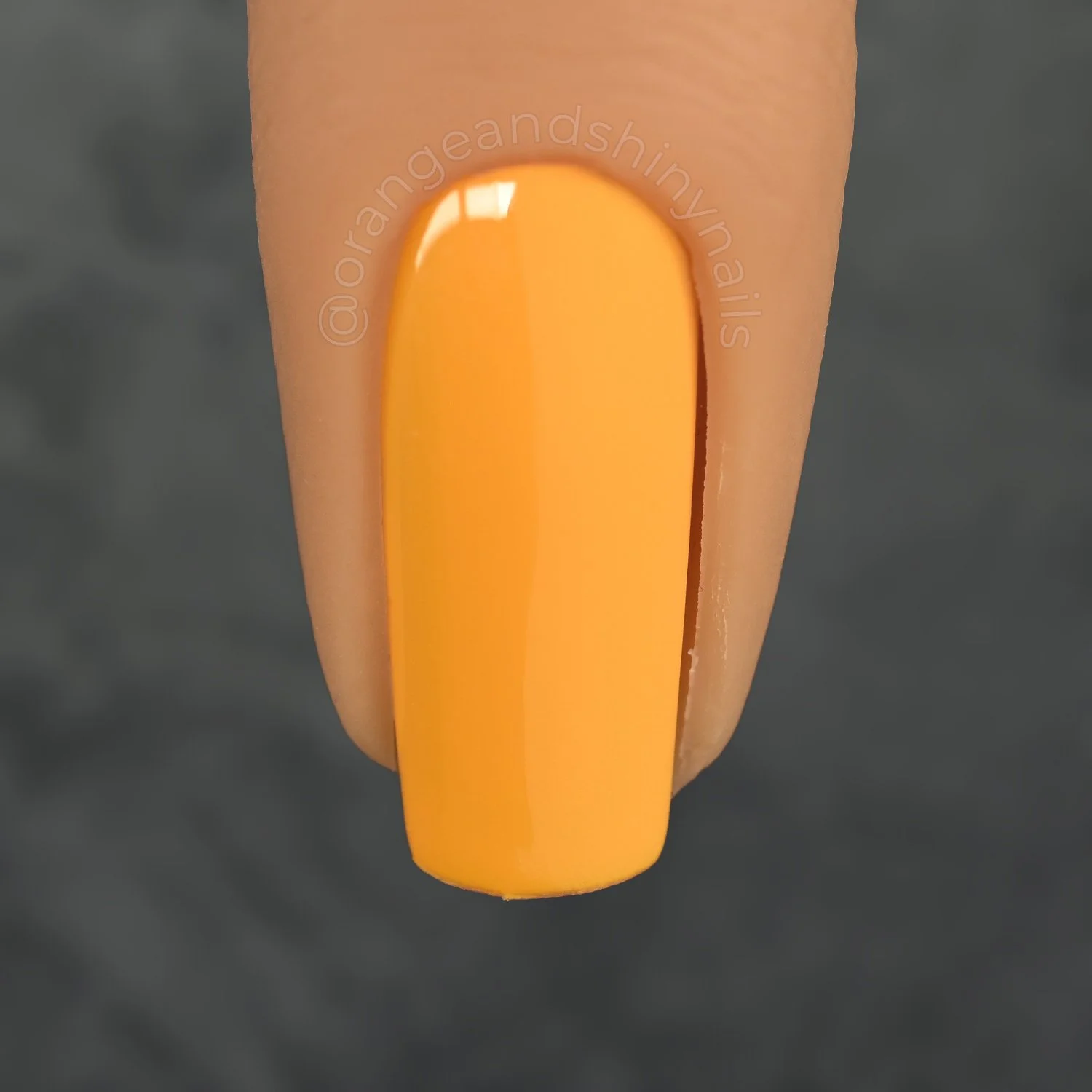 Butterscotch Hop