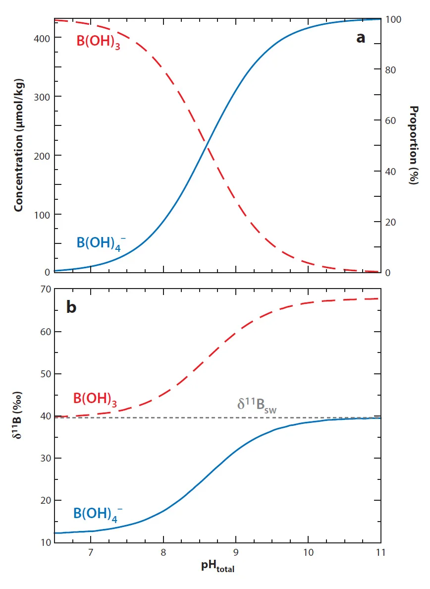 Boron Isotopes — PalaeoceanCO2