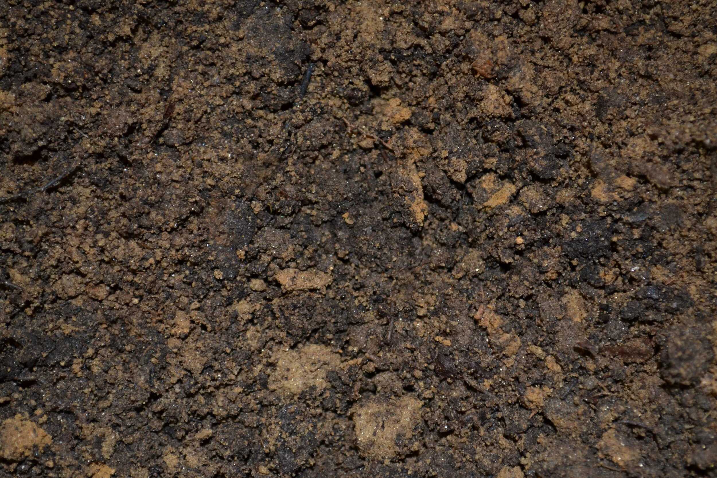 Dirt.jpg