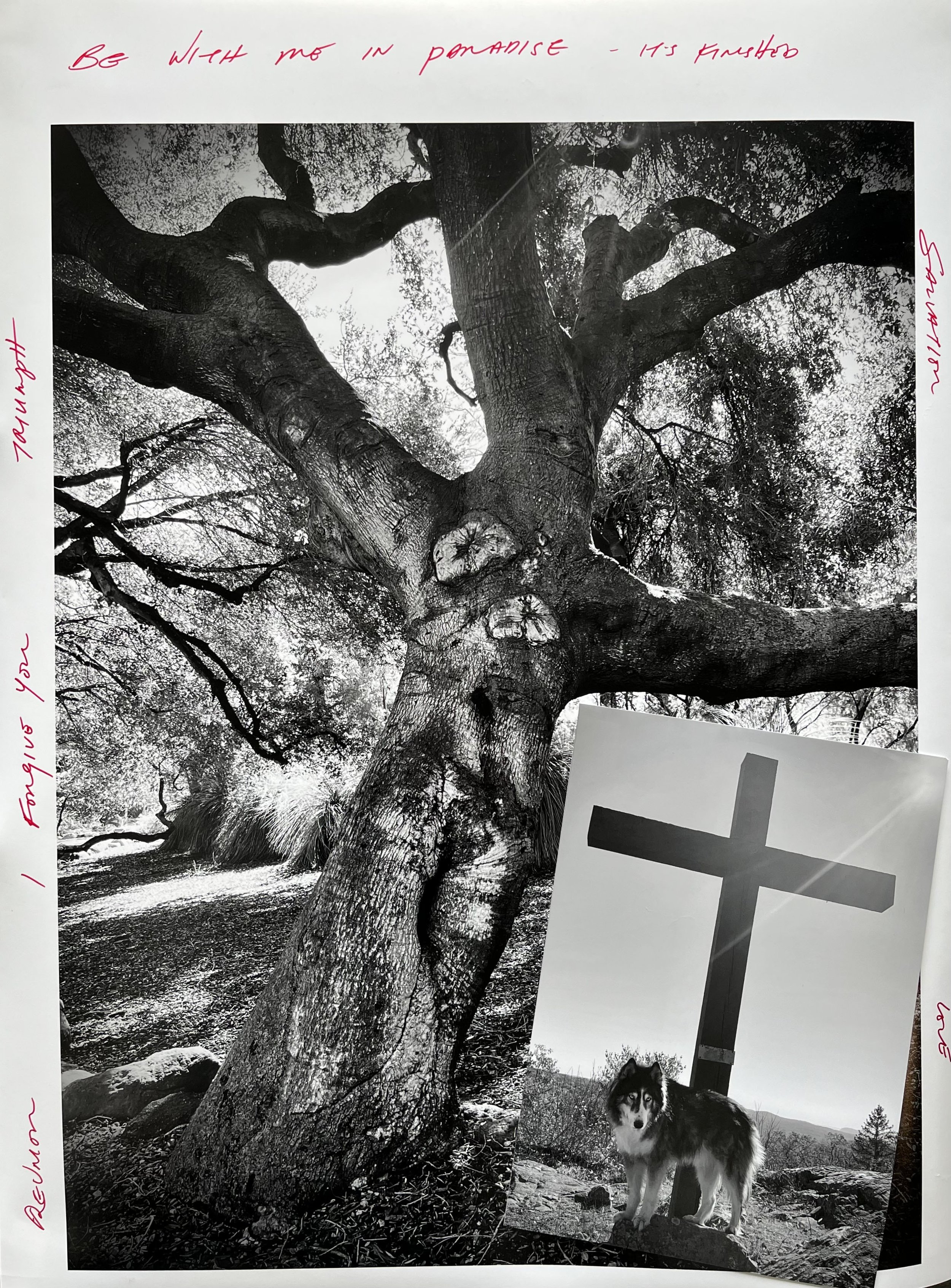   Double Cross /  Resurrection,  2023, 18” x 24” Archival pigment print, ink 