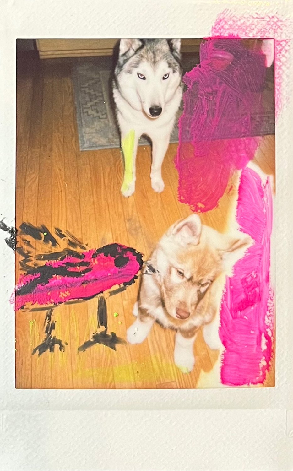   Noor, Maka + Pink Bird, 2024, gauche and wax pastel on polaroid  