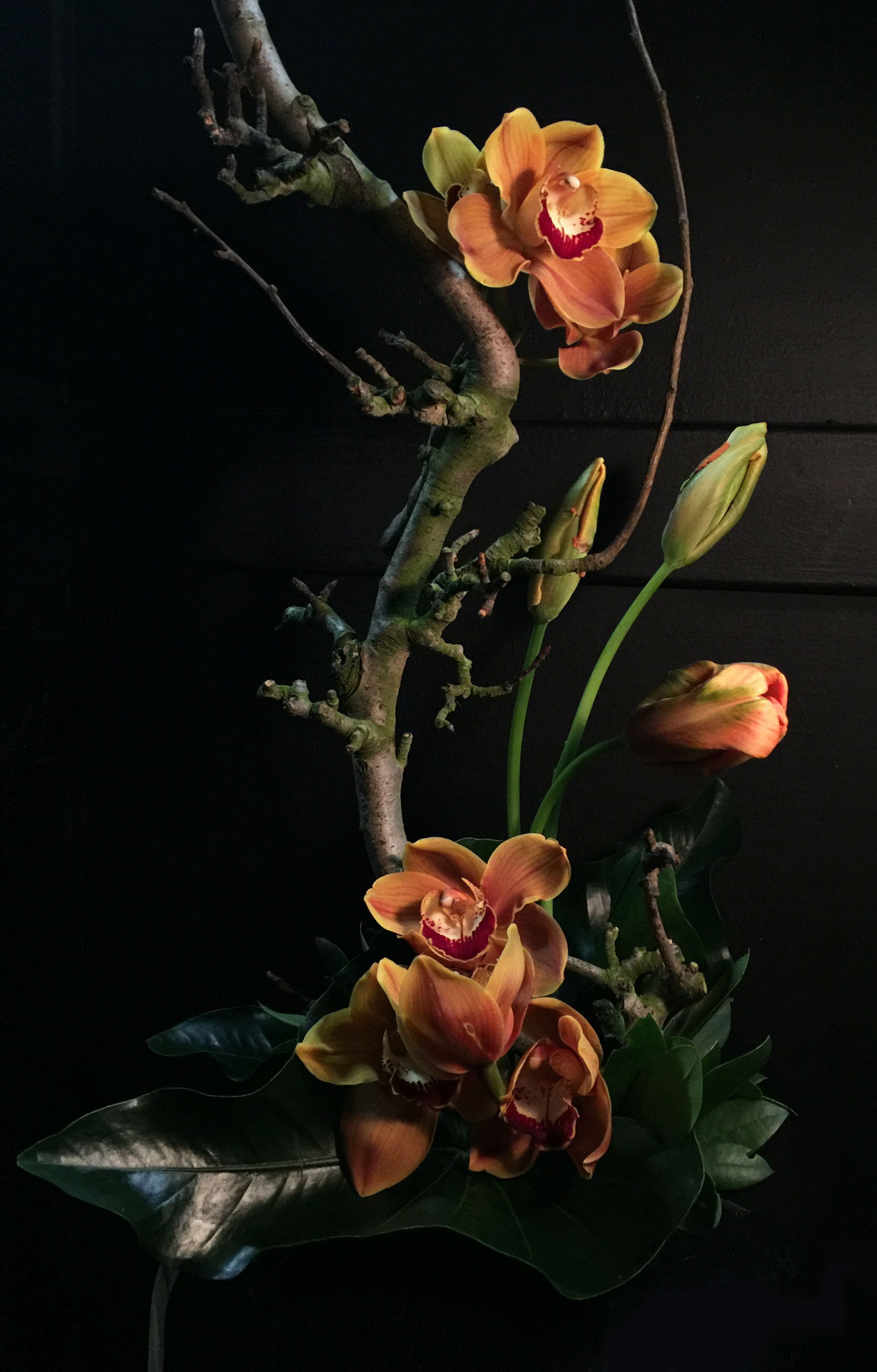 IMG_6229.png