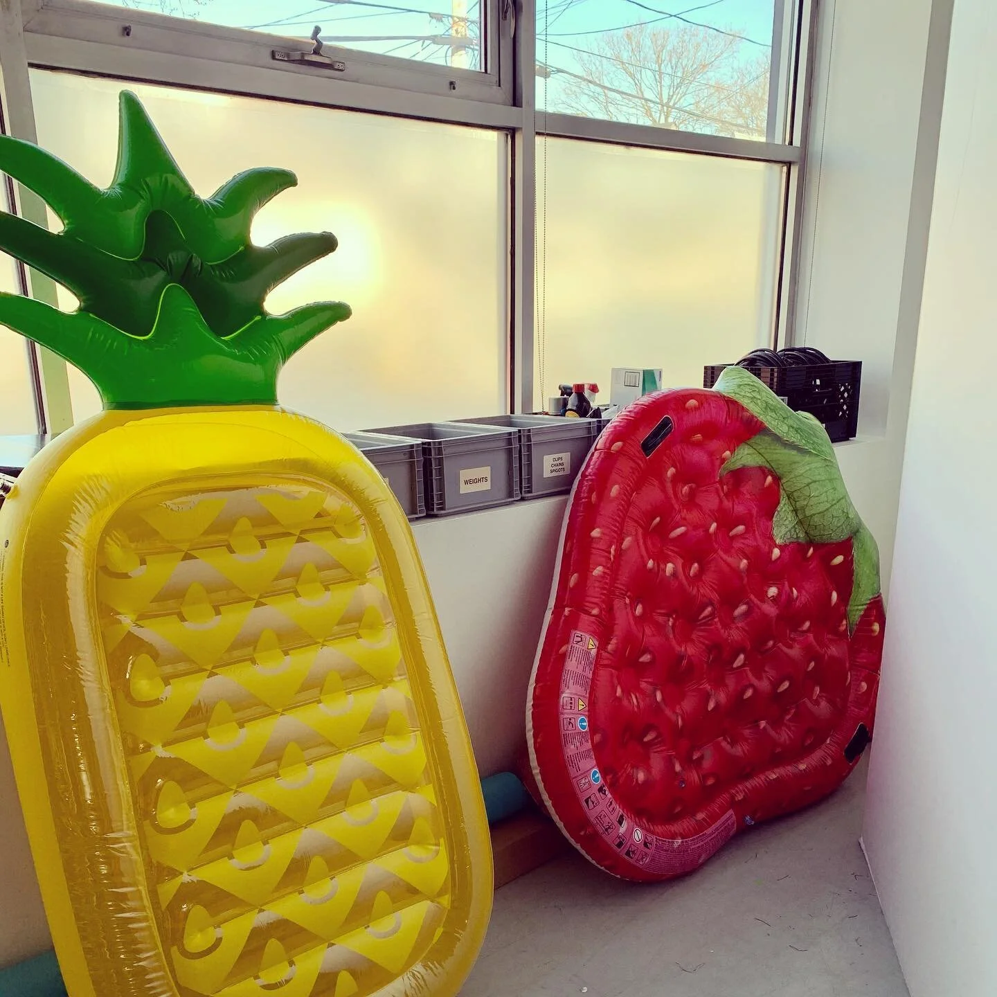 Soaking up some winter sun in the studio. #propstylist #setdesigner