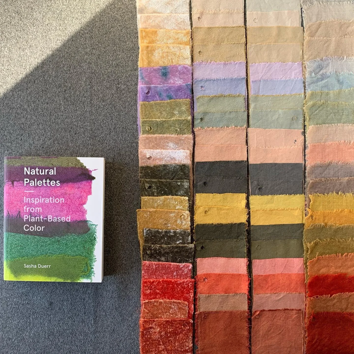 Creating natural palettes with @sashaduerr @botanicalcolors from last weeks workshop. ⁣
Inspiring to see what colours can be achieved with flora and food. ⁣
⁣
aloe 🪴 , red cabbage 🥬 avocado 🥑, Himalayan rhubarb, madder root⁣ ⁣
#zoomclassworkshop #