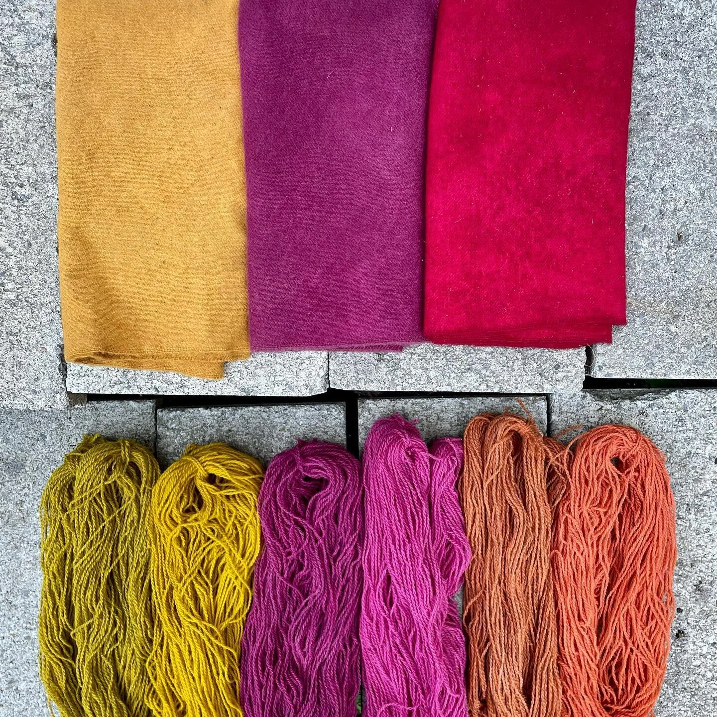 On a Natural Dye journey with @maiwaschooloftextiles ⁣
⁣
Week One Wool ⁣
Himalayan Rhubarb / Lac / Eastern Brazilwood - wool fabric⁣
Marigold / Cochineal / Madder - wool yarn⁣ grey/white
⁣
🧶 #naturaldye #maiwaworkshop⁣