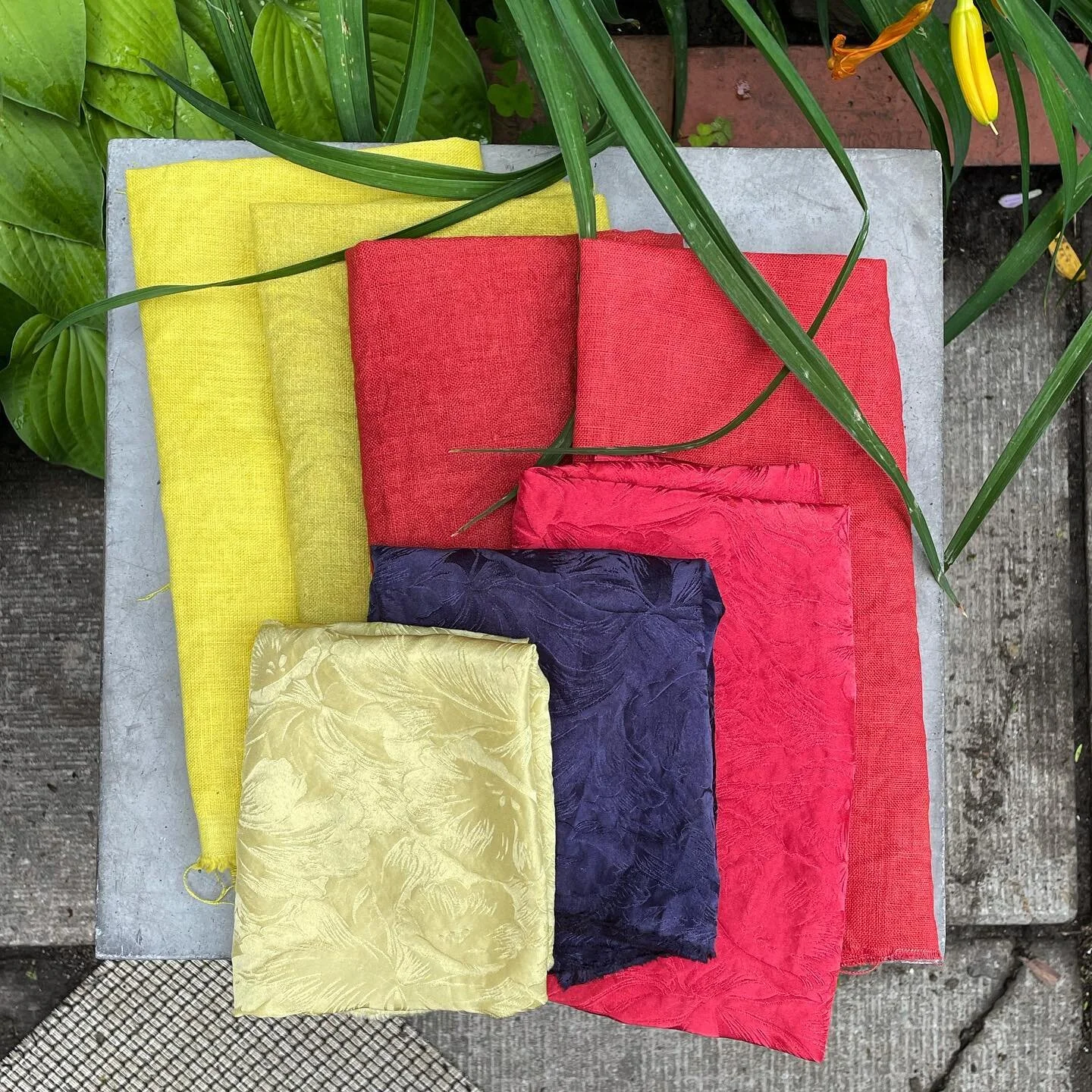 Developing new colours in the garden
⁣
Week two of #Naturaldyeing #maiwaworkshop⁣
⁣