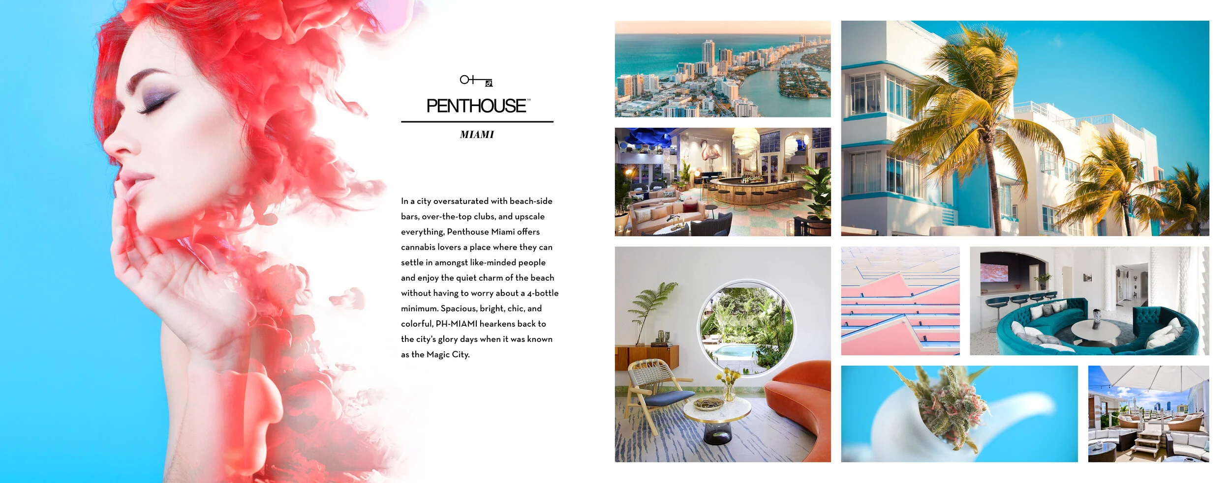 PENTHOUSE Dispensary, sales deck 2017 - spread 4