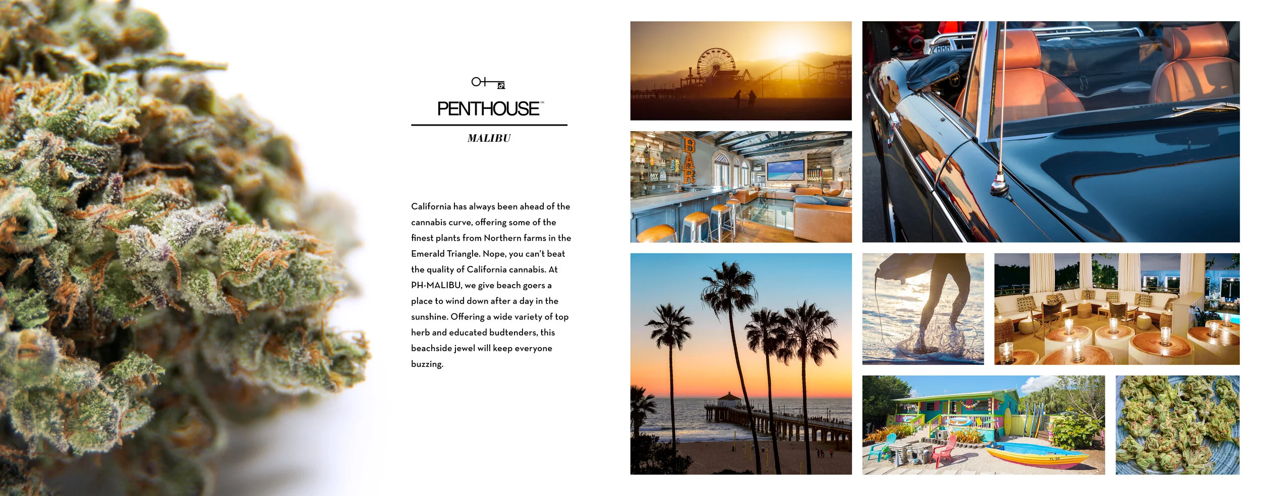 PENTHOUSE Dispensary, sales deck 2017 - spread 9