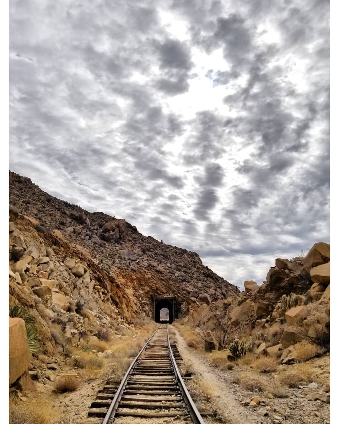 Adventures in January.
🏜
#goatcanyontrestle 
#carrizogorge 
#anzaborrego 
#redrockcanyonstatepark 
#nightmaregulch