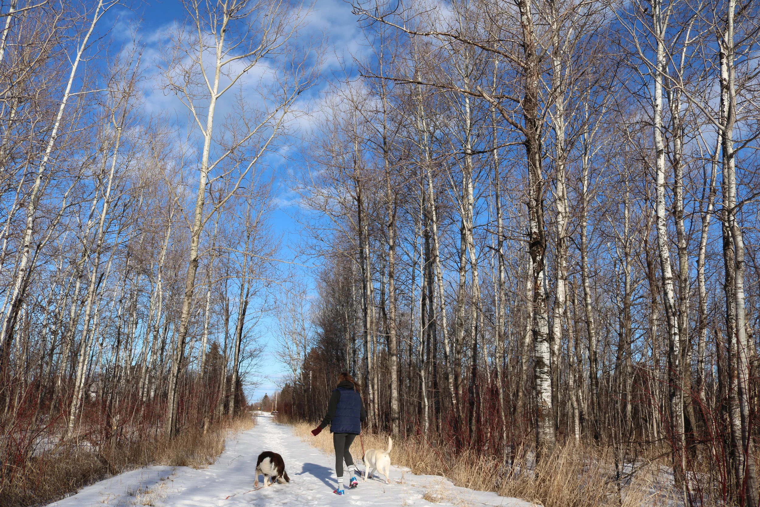 Fluctuating weather challenges hikers and runners