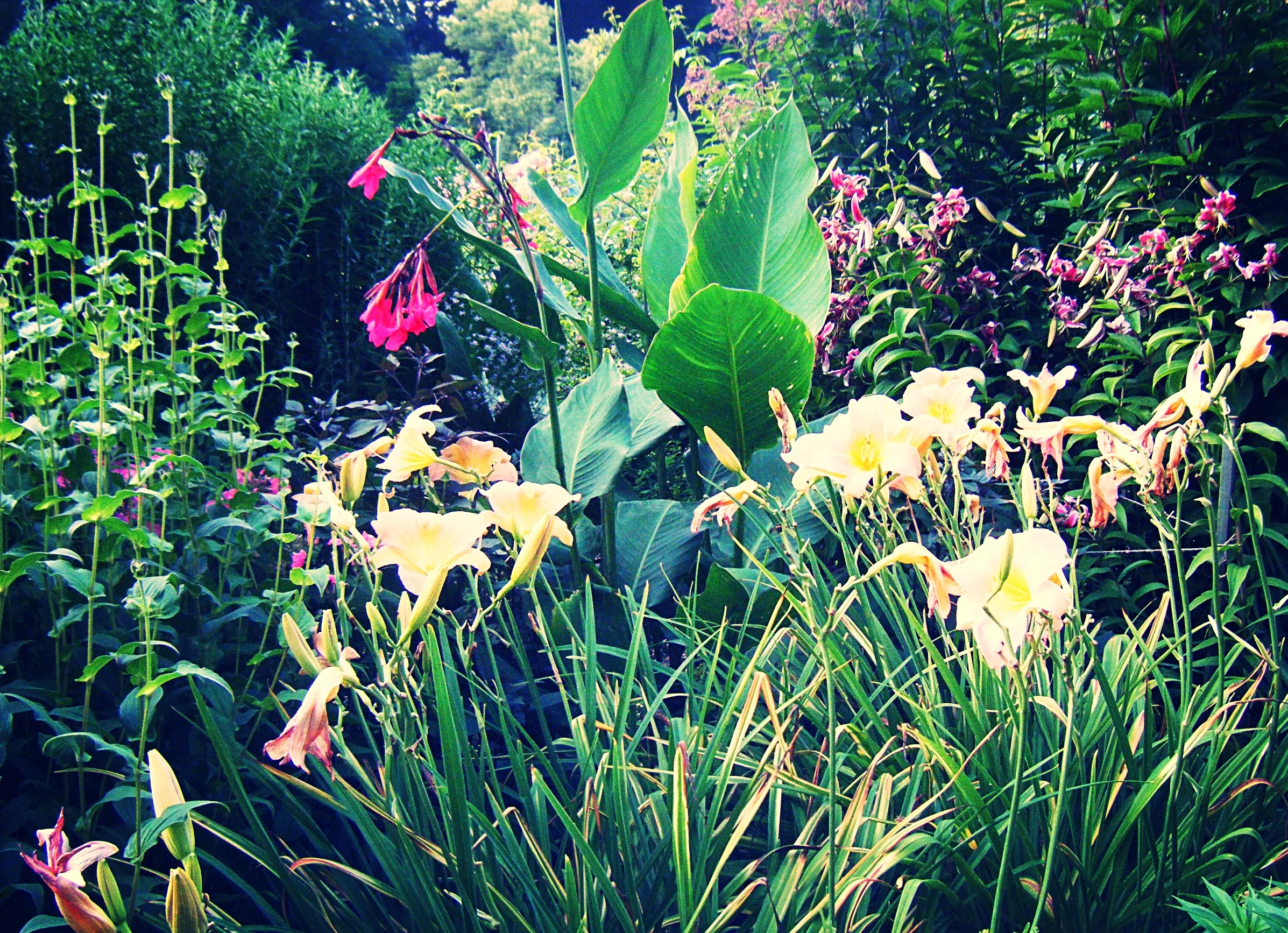 Buchart Gardens, Vancouver Island