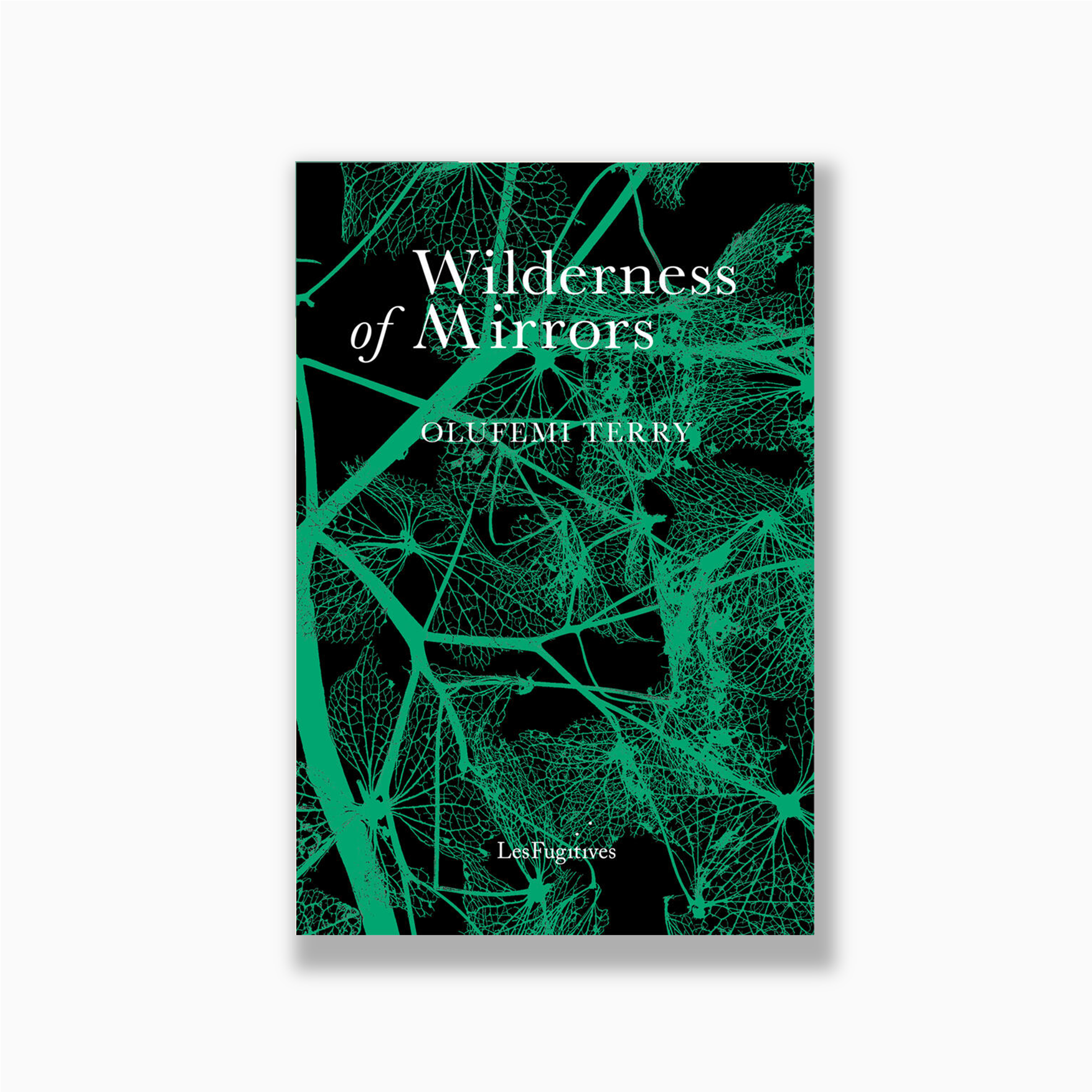 Wilderness of Mirrors web image.png