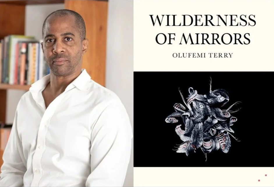 Olufemi Terry in conversation with Prof. Madhu Krishnan