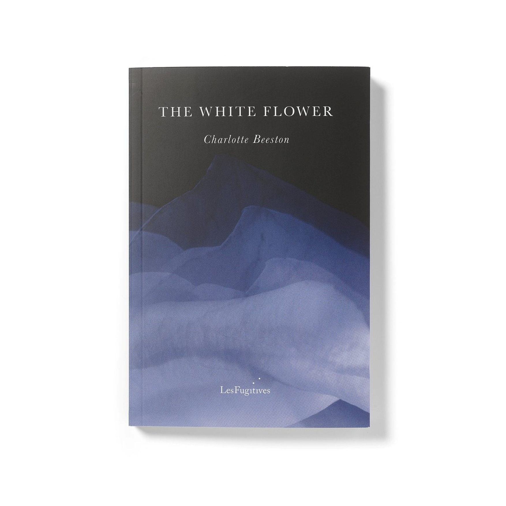 White Flower qbf web image Mar 26.png
