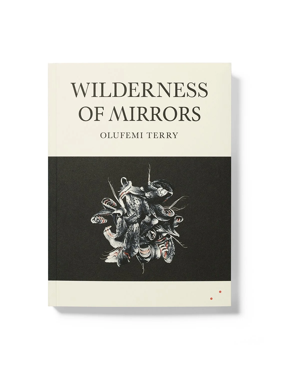 WildernessOfMirrors.jpg