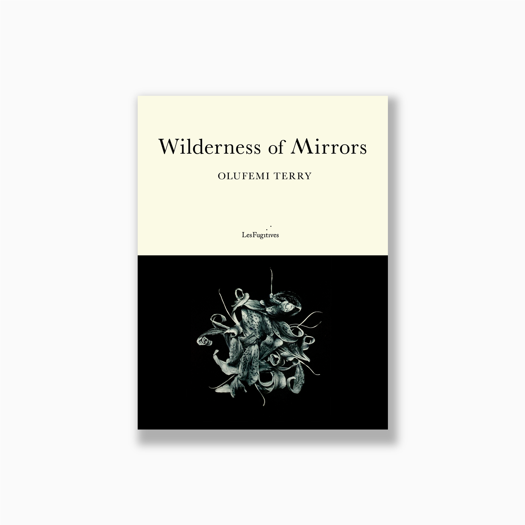 Wilderness of Mirrors final web image.png