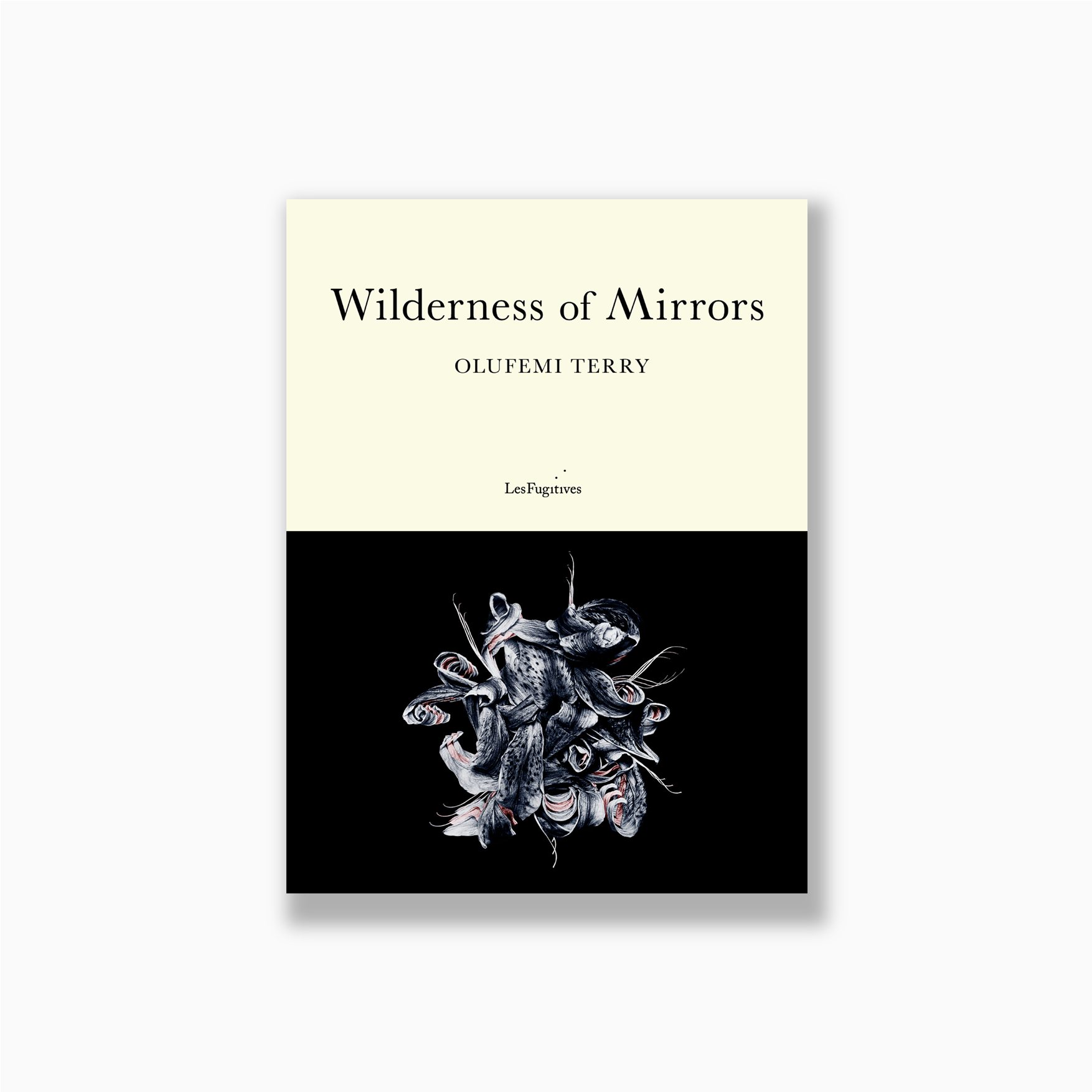 Wilderness of Mirrors new final web image.png