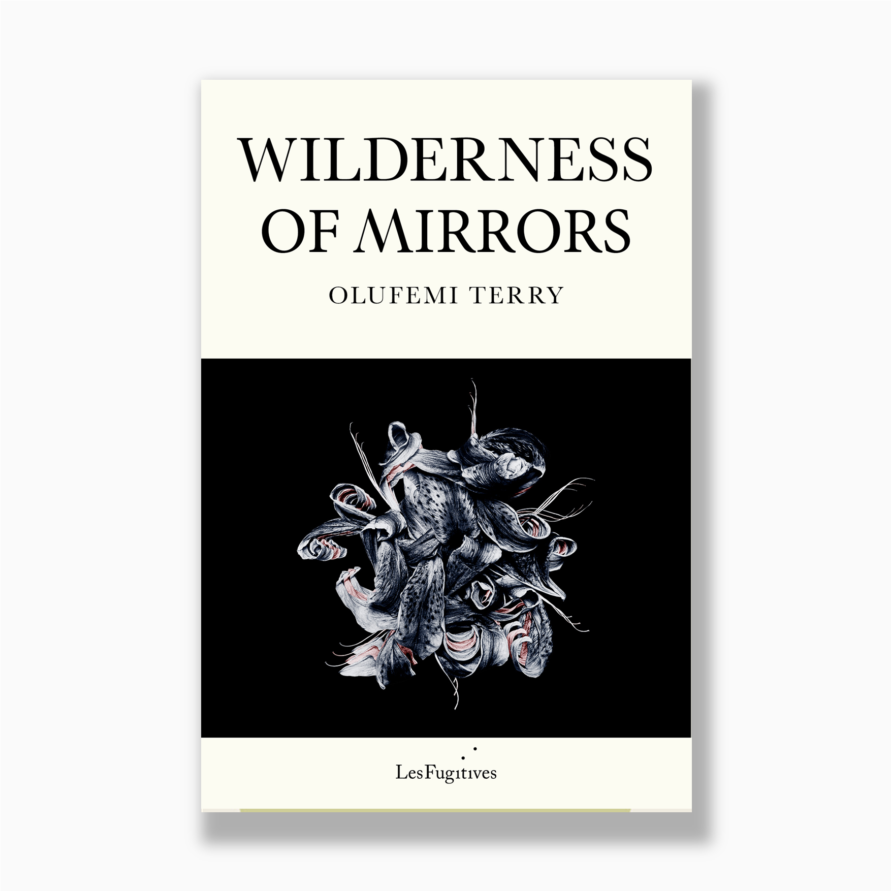 Wilderness of Mirrors new final web image feb 26.png (Copy)