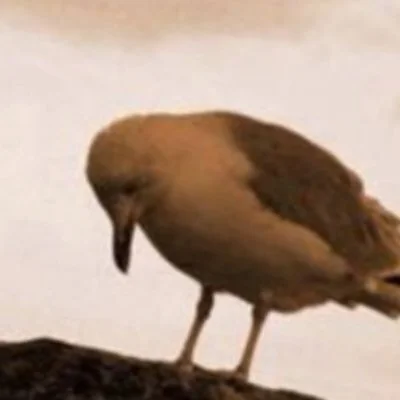 Hey sweetheart, no one liked your tweet and that’s sort of okay 