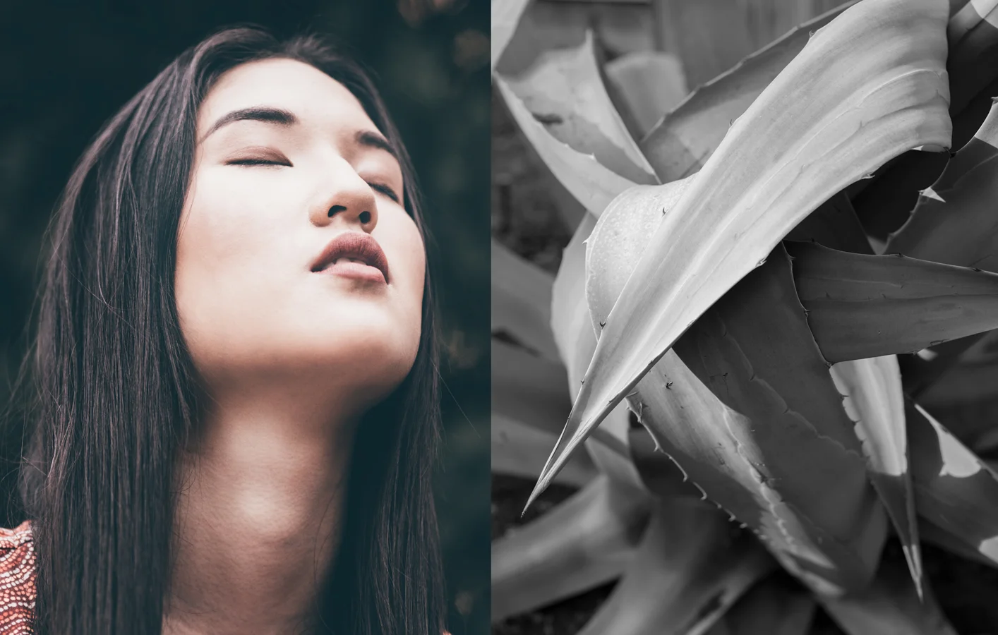 Eunice-&-Cactus.jpg