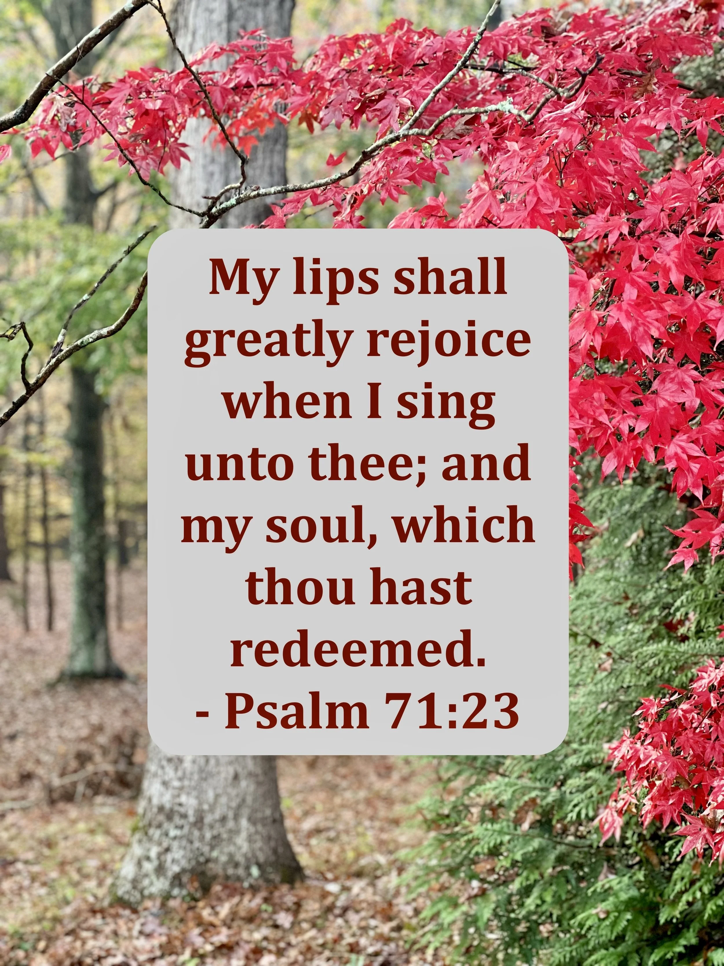 December 6, 2025: Psalm 71:23