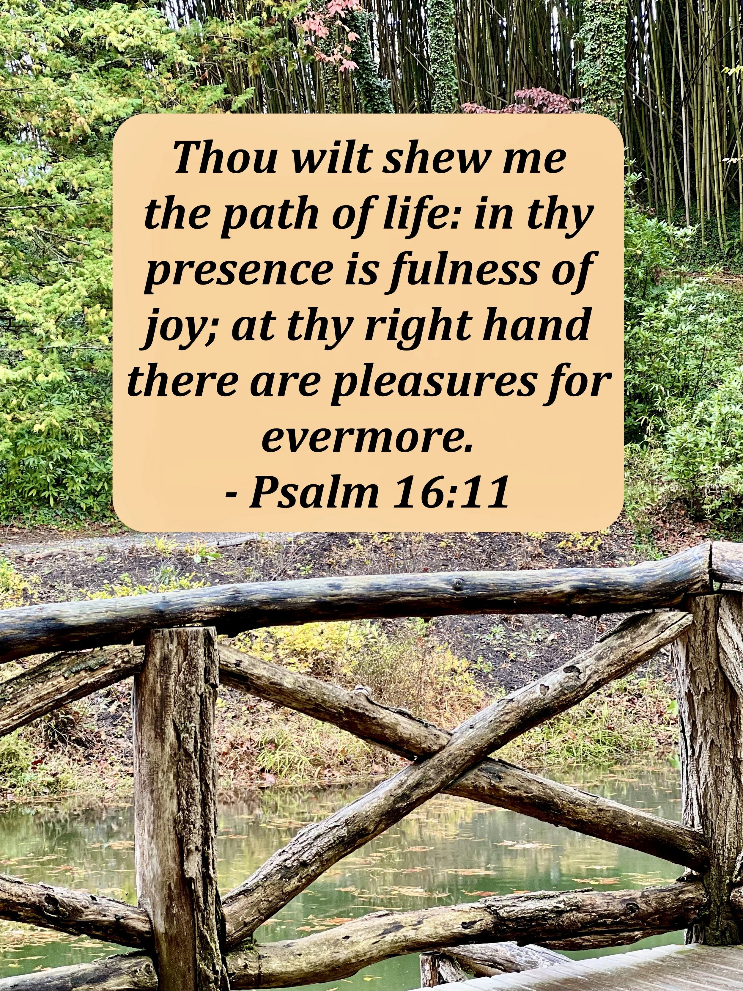 December 14, 2025: Psalm 16:11