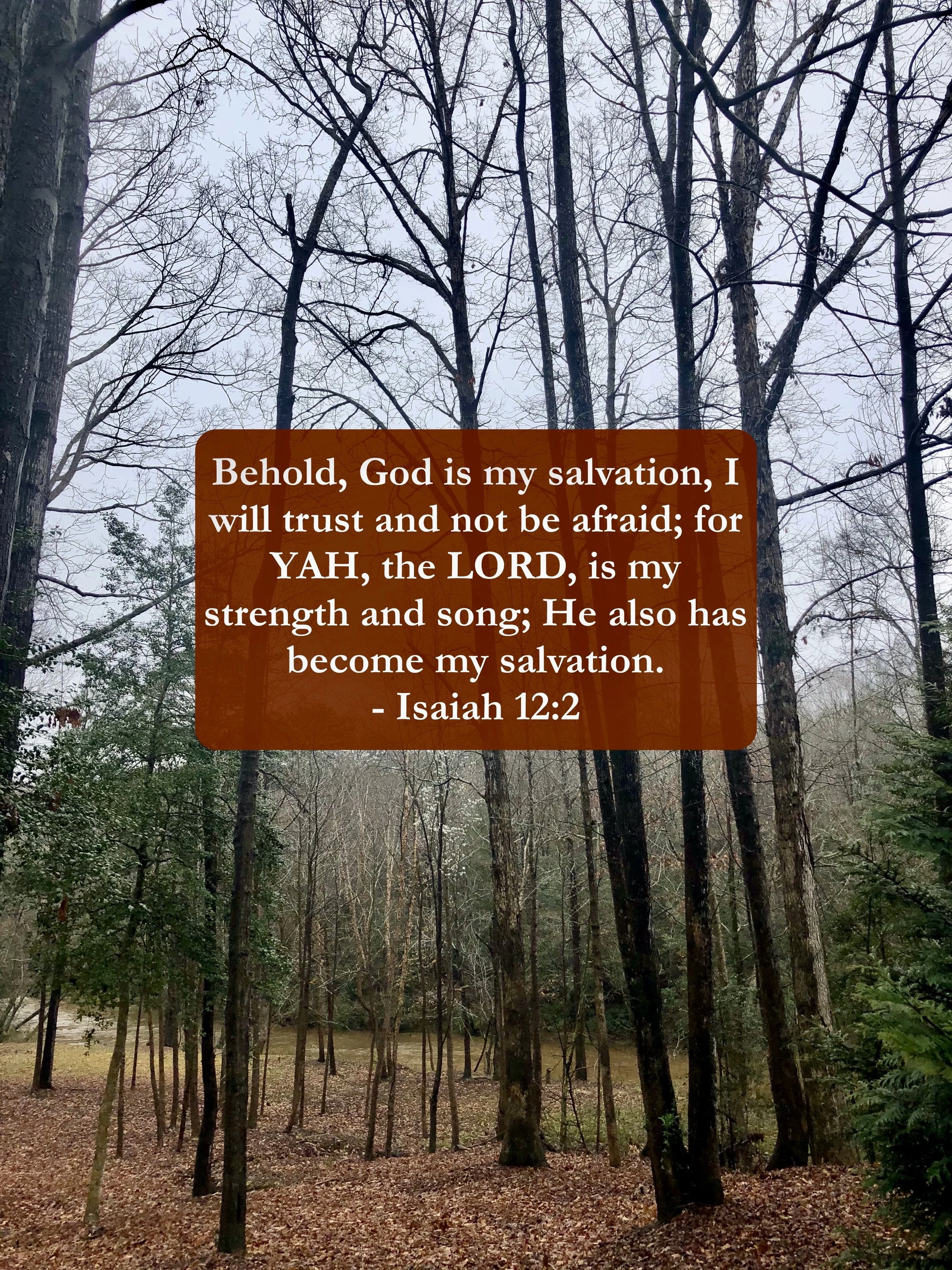 January 29, 2026: Isaiah 12:2