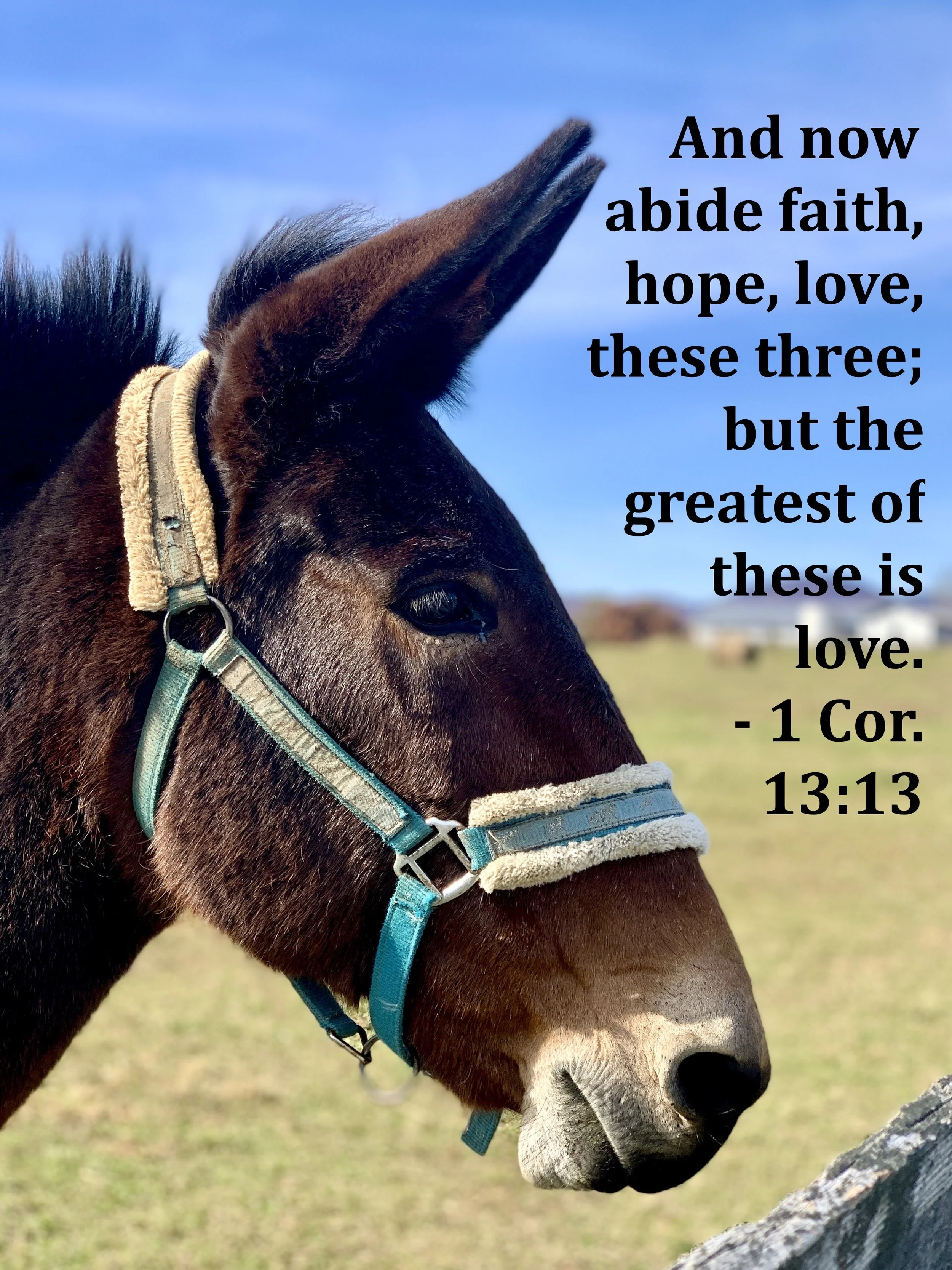 January 31, 2026: 1 Corinthians 13:13