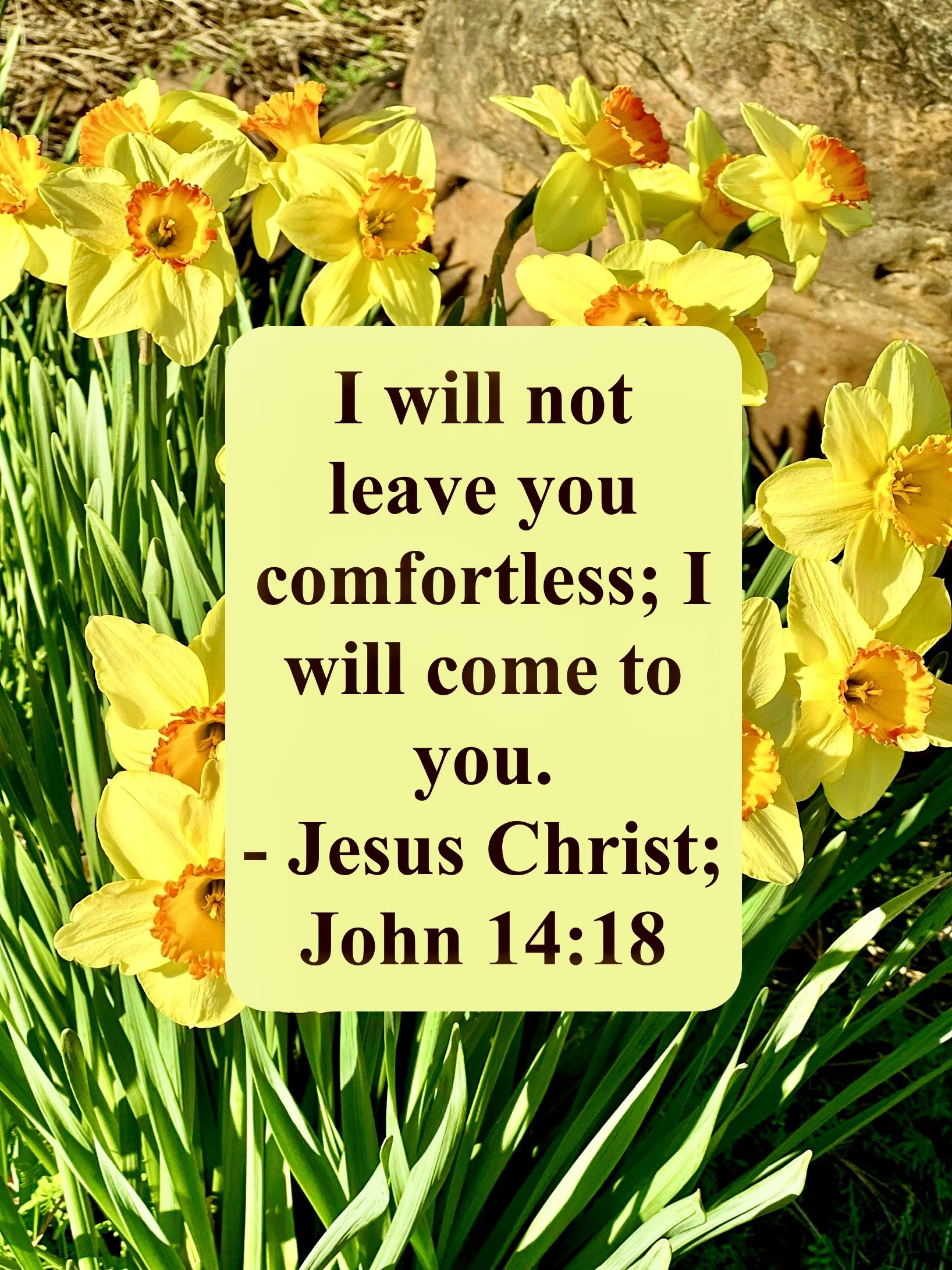 March 16, 2026: John 14:18