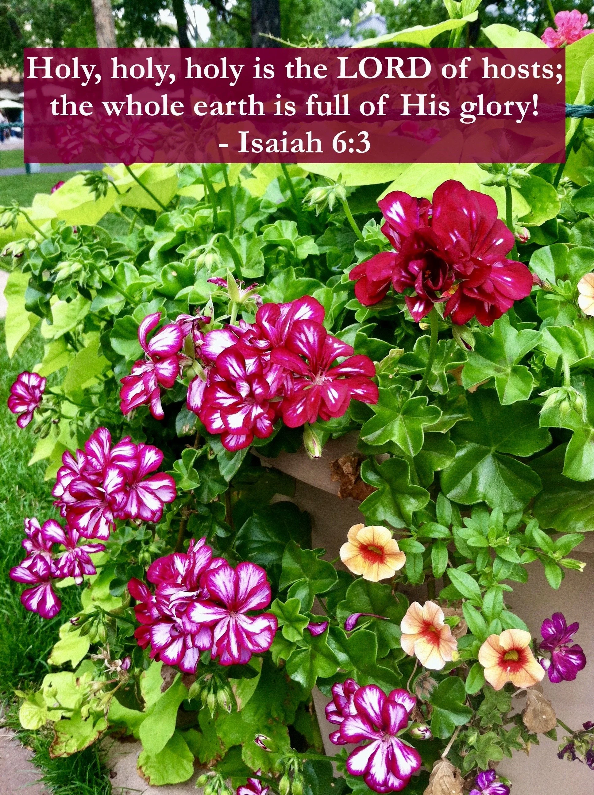 April 15, 2026: Isaiah 6:3