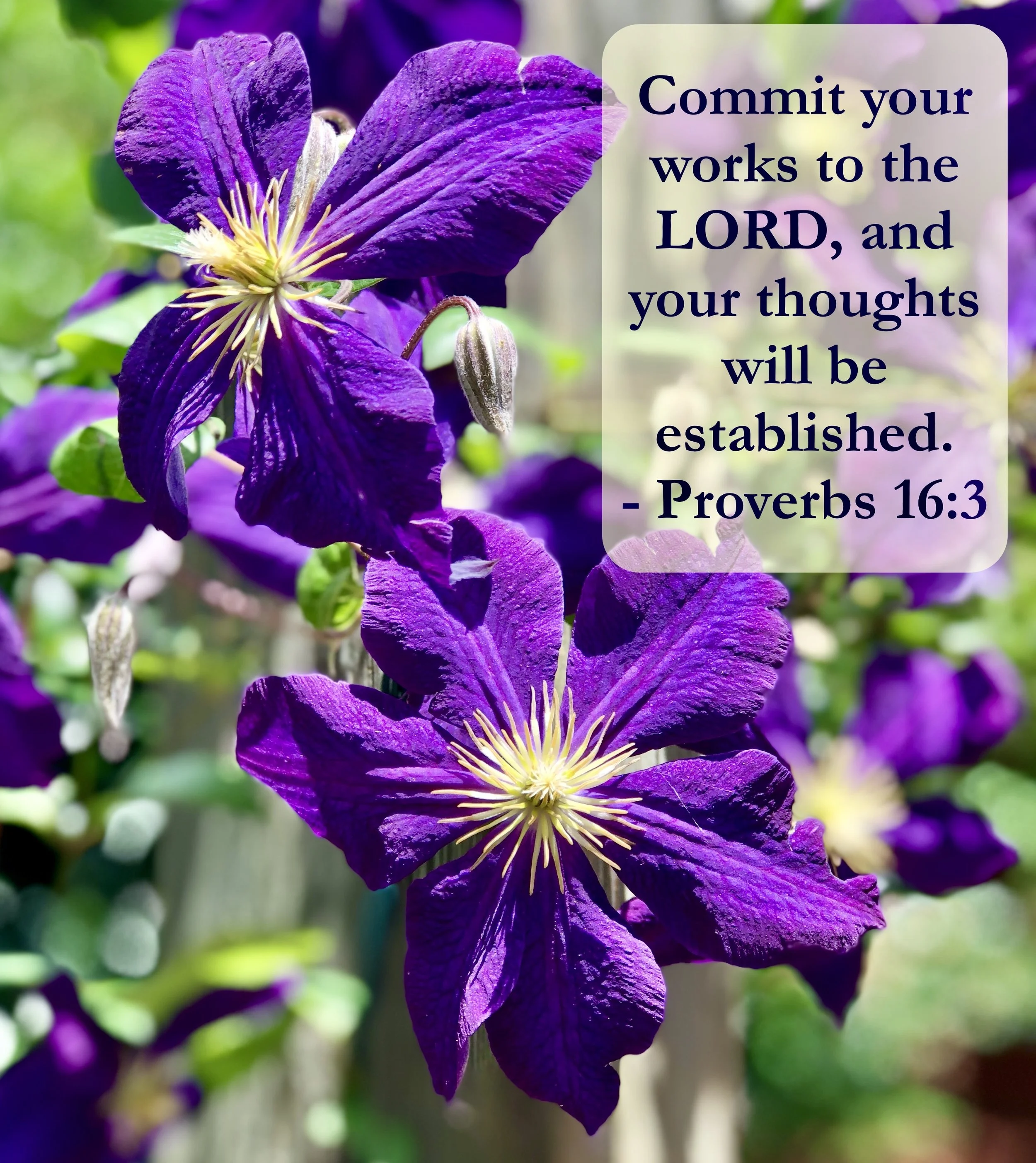 April 18, 2026: Proverbs 16:3