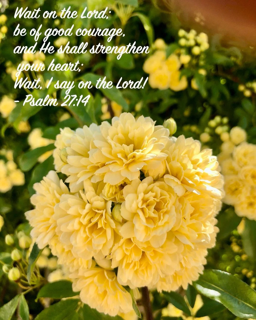April 22, 2026: Psalm 27:14