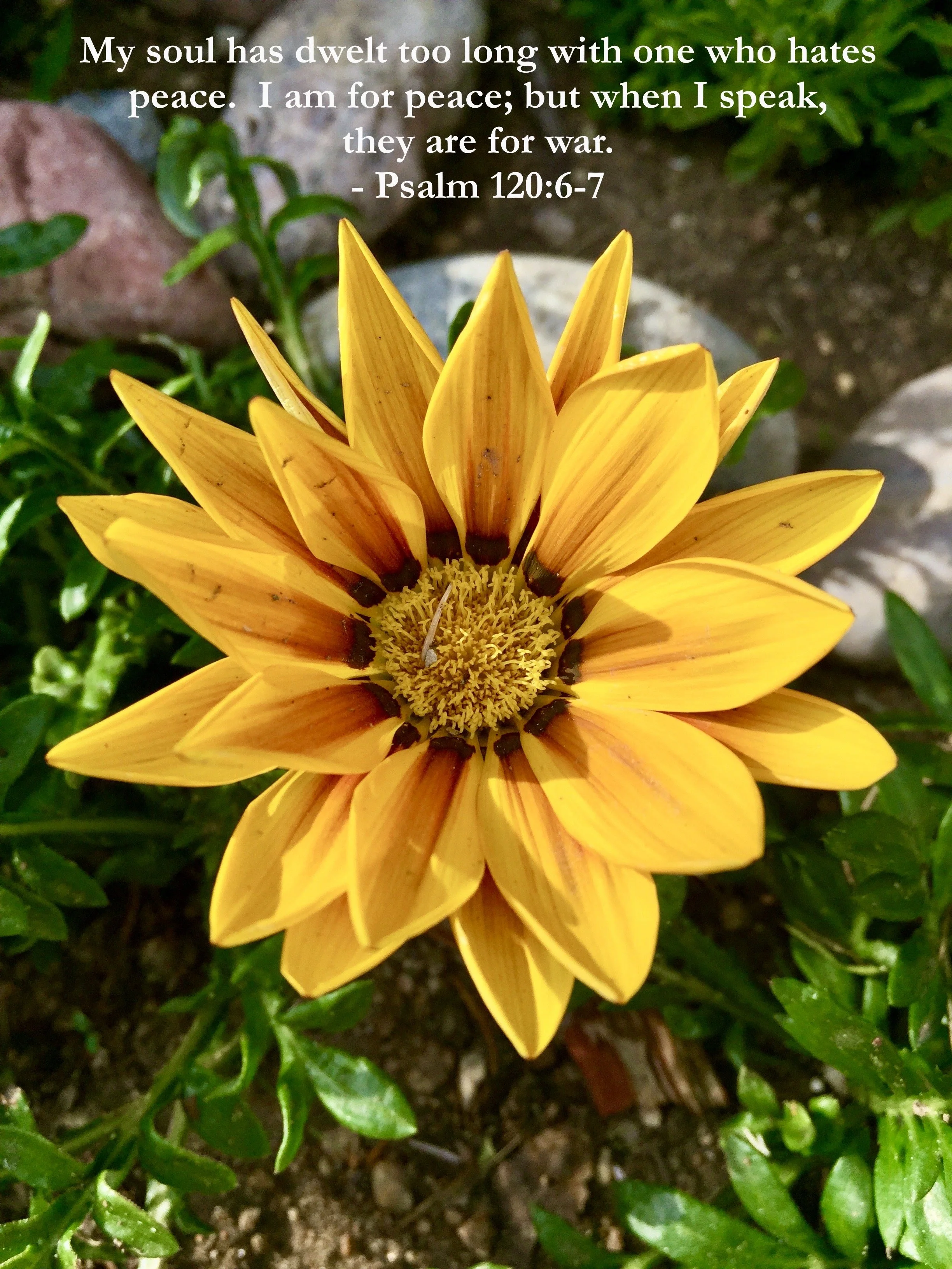 April 25, 2026: Psalm 120:6-7