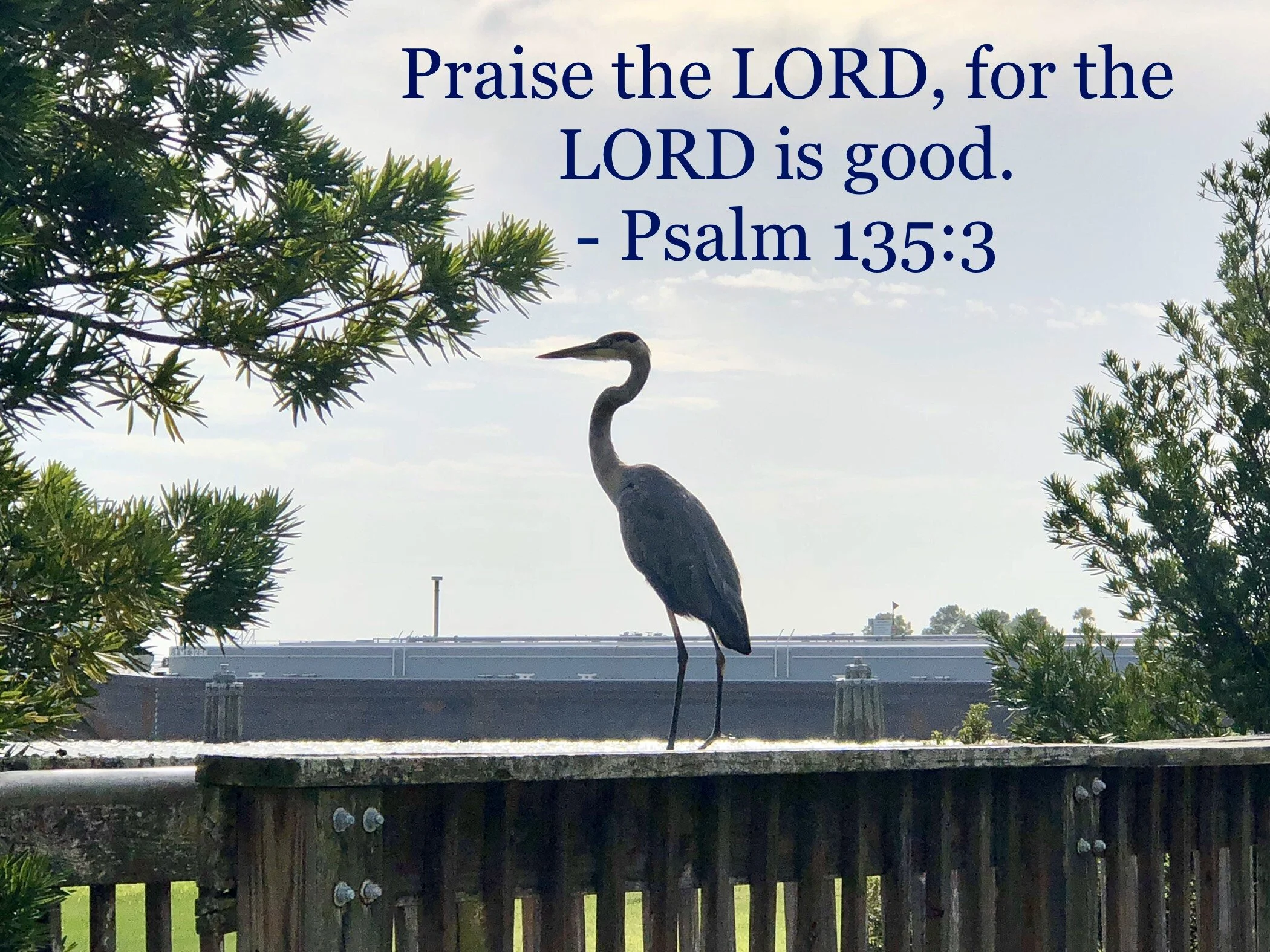 May 4, 2026: Psalm 135:3