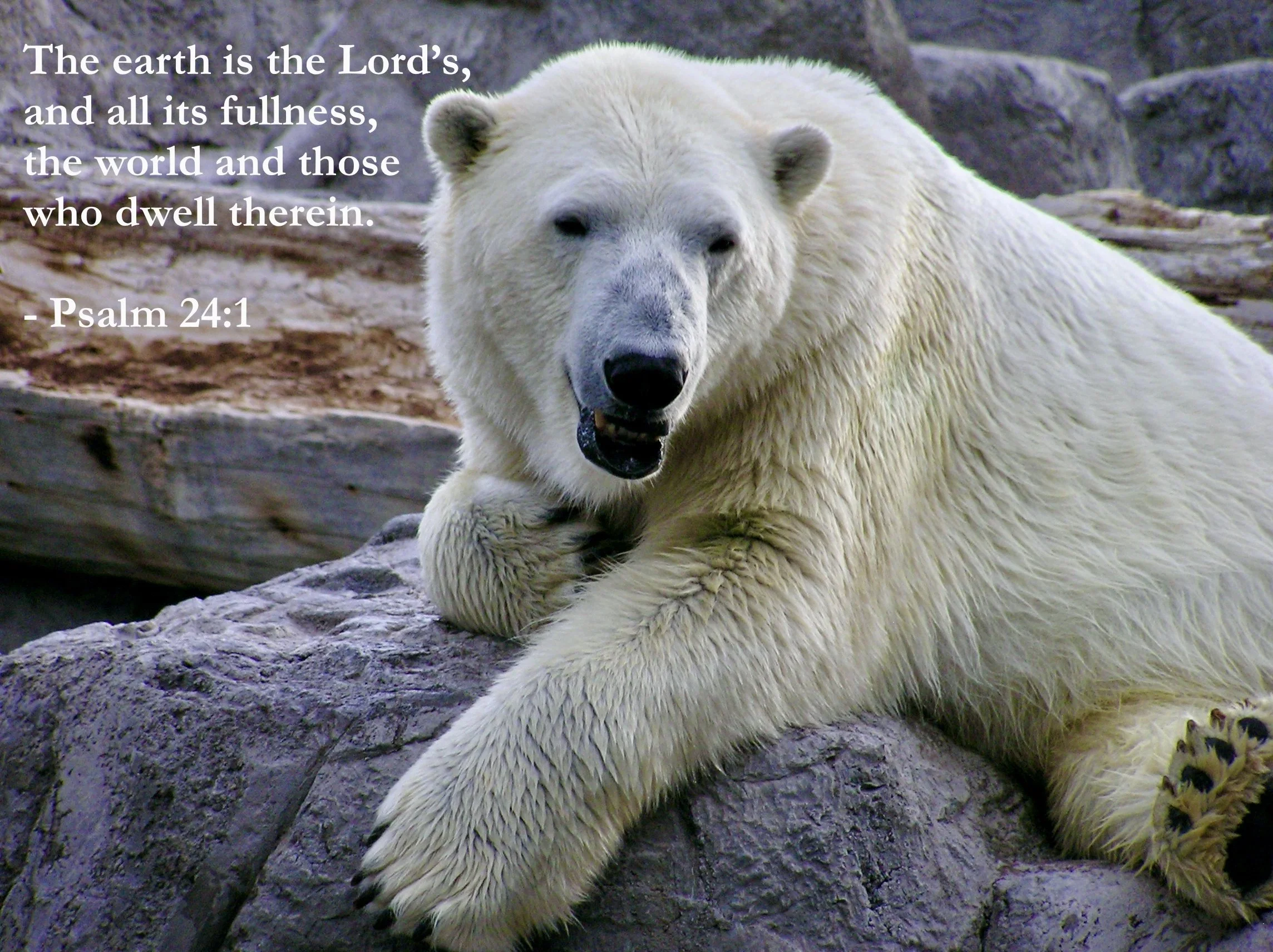 May 11, 2026: Psalm 24:1