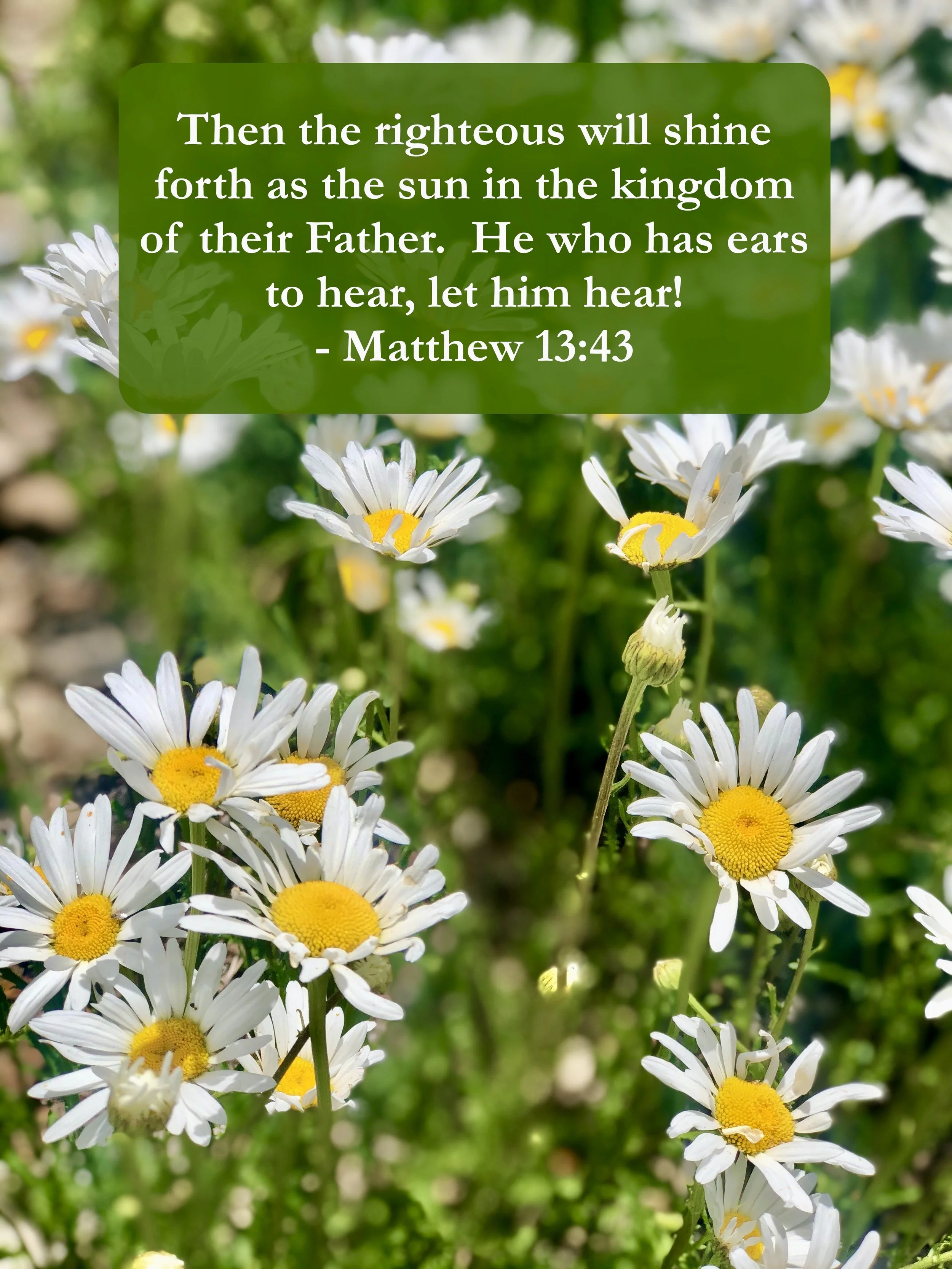May 12, 2026: Matthew 13:43