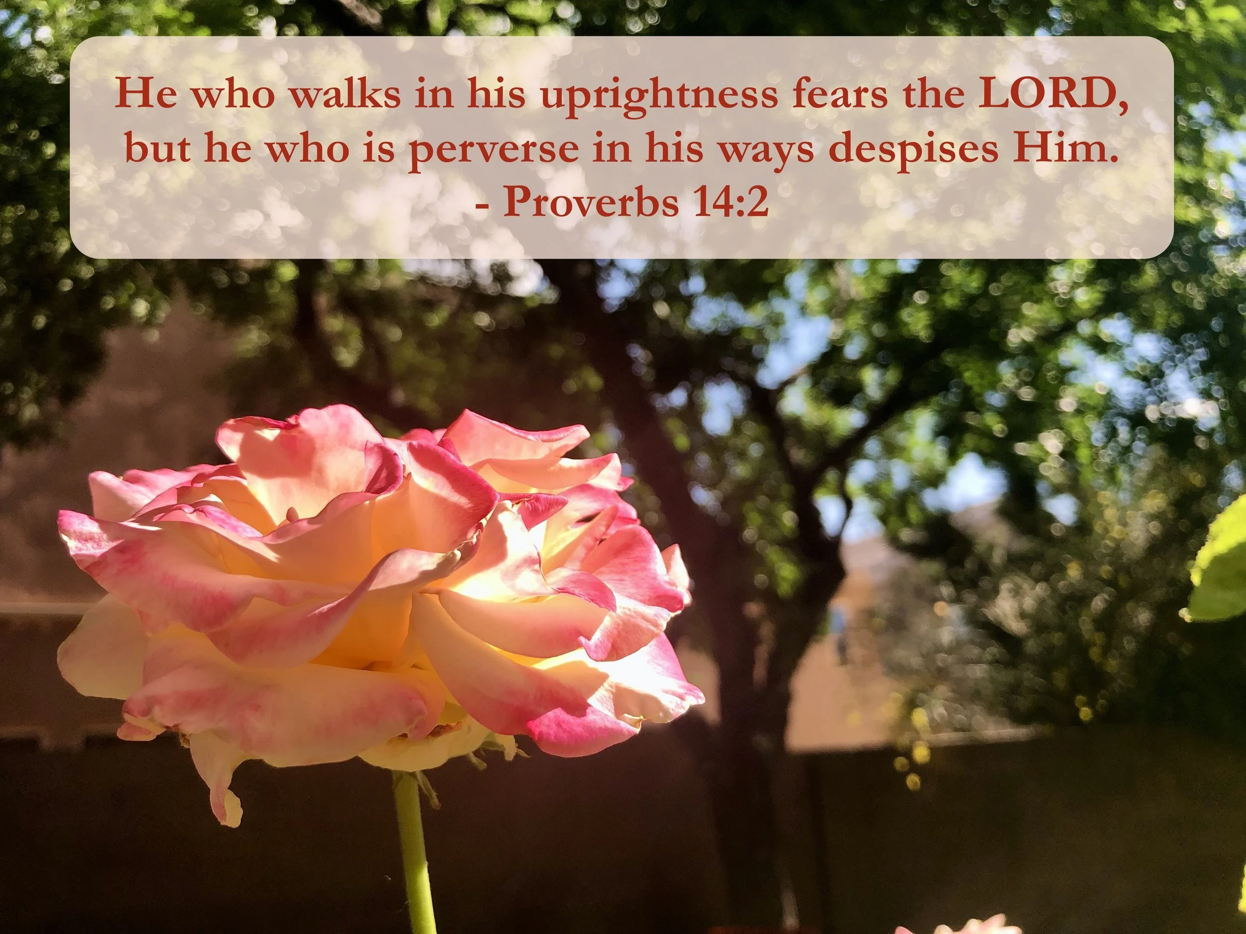 May 17, 2026: Proverbs 14:2